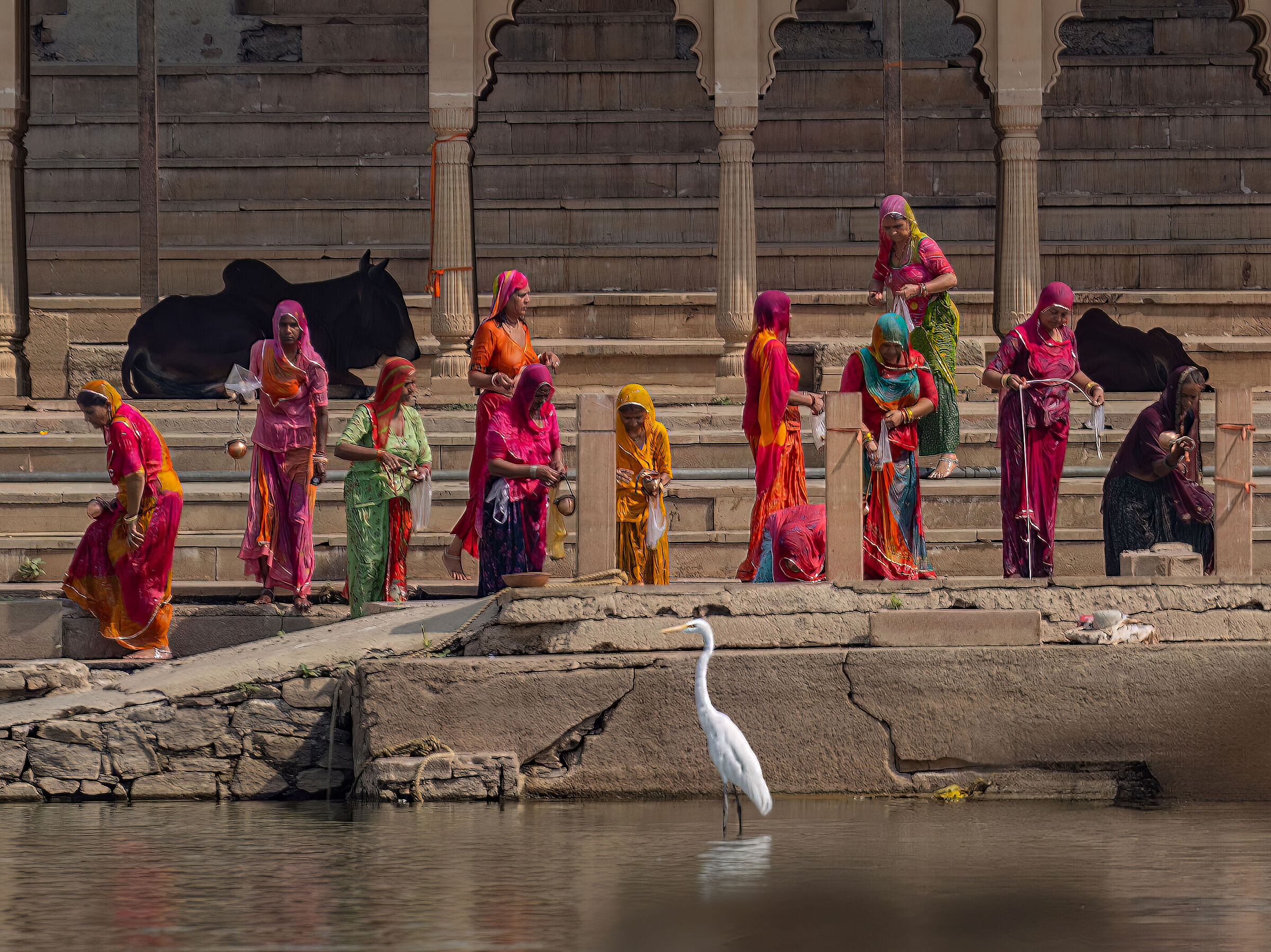 Pushkar nei colori 01