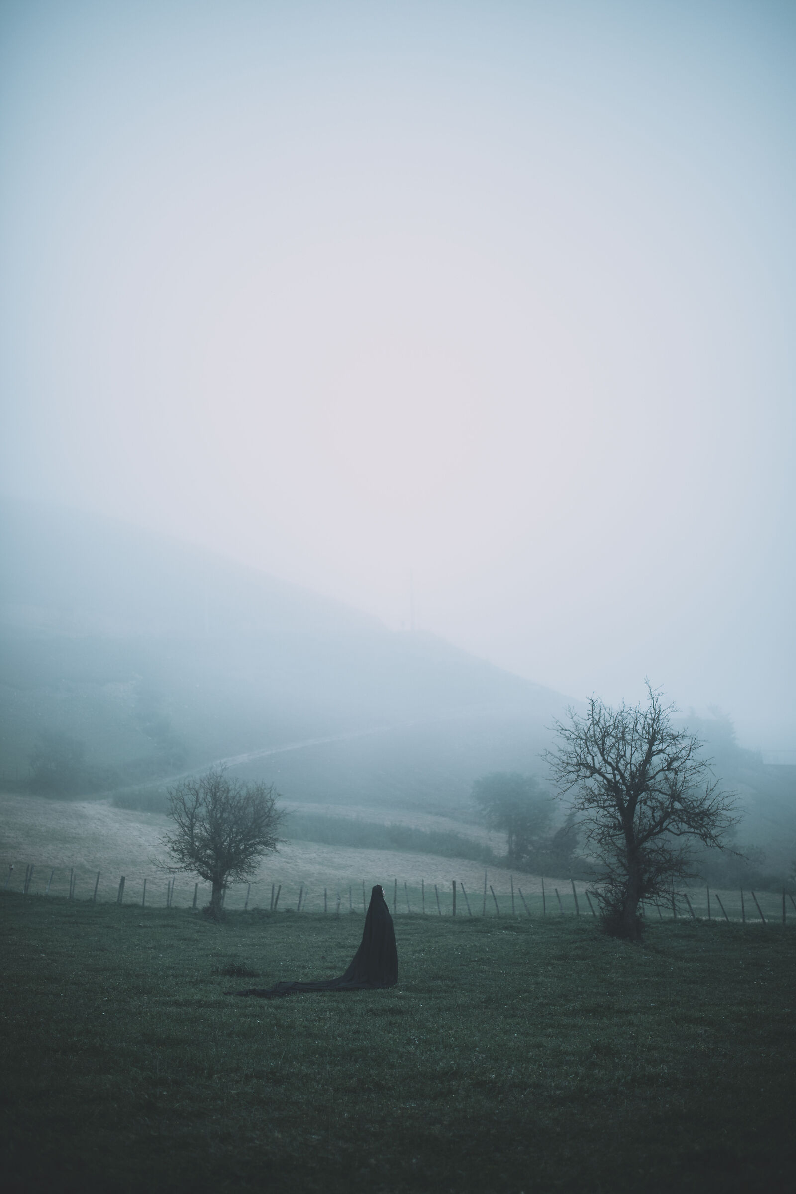 Between Shadow and Light