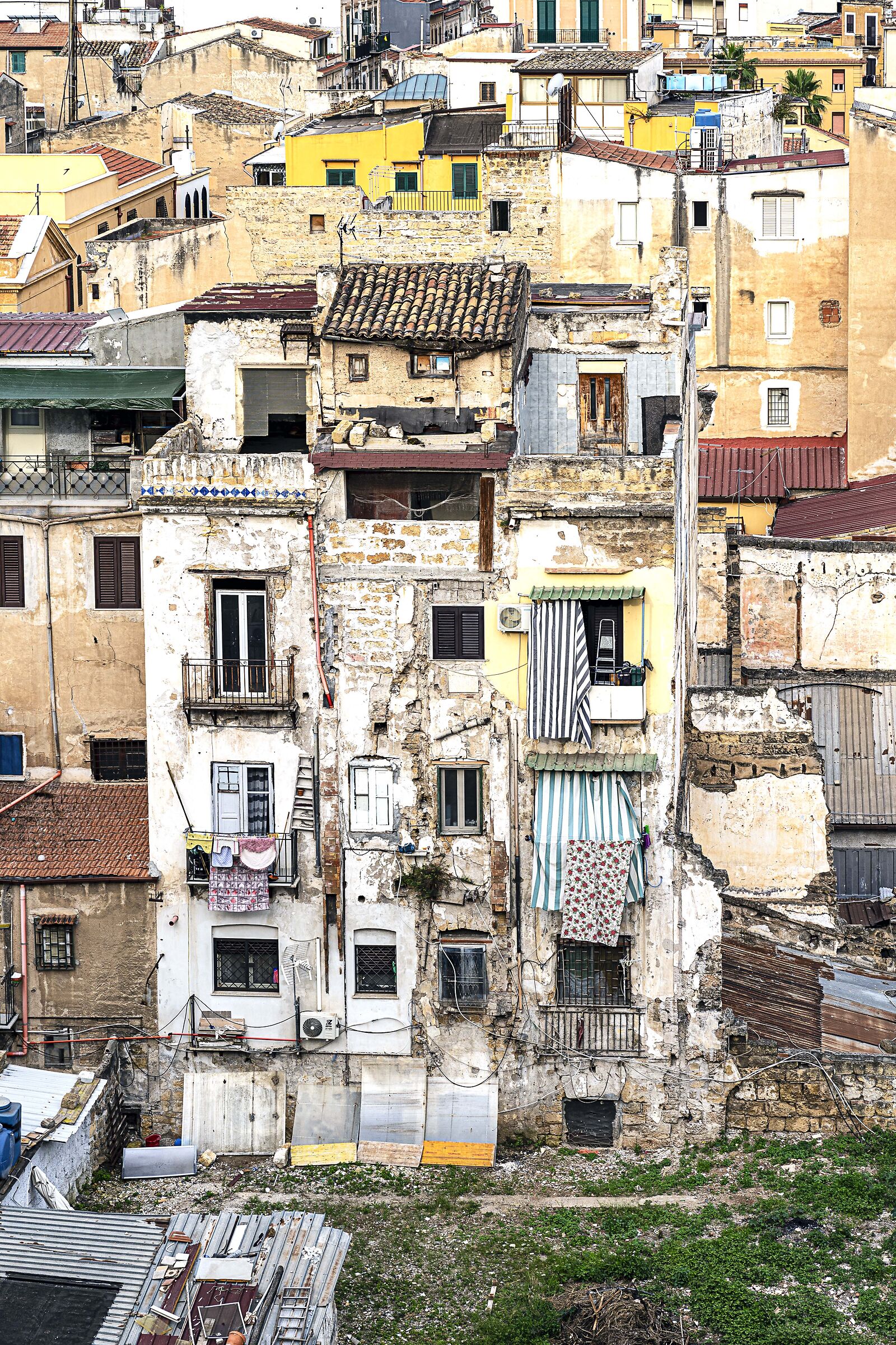 the other Palermo 3