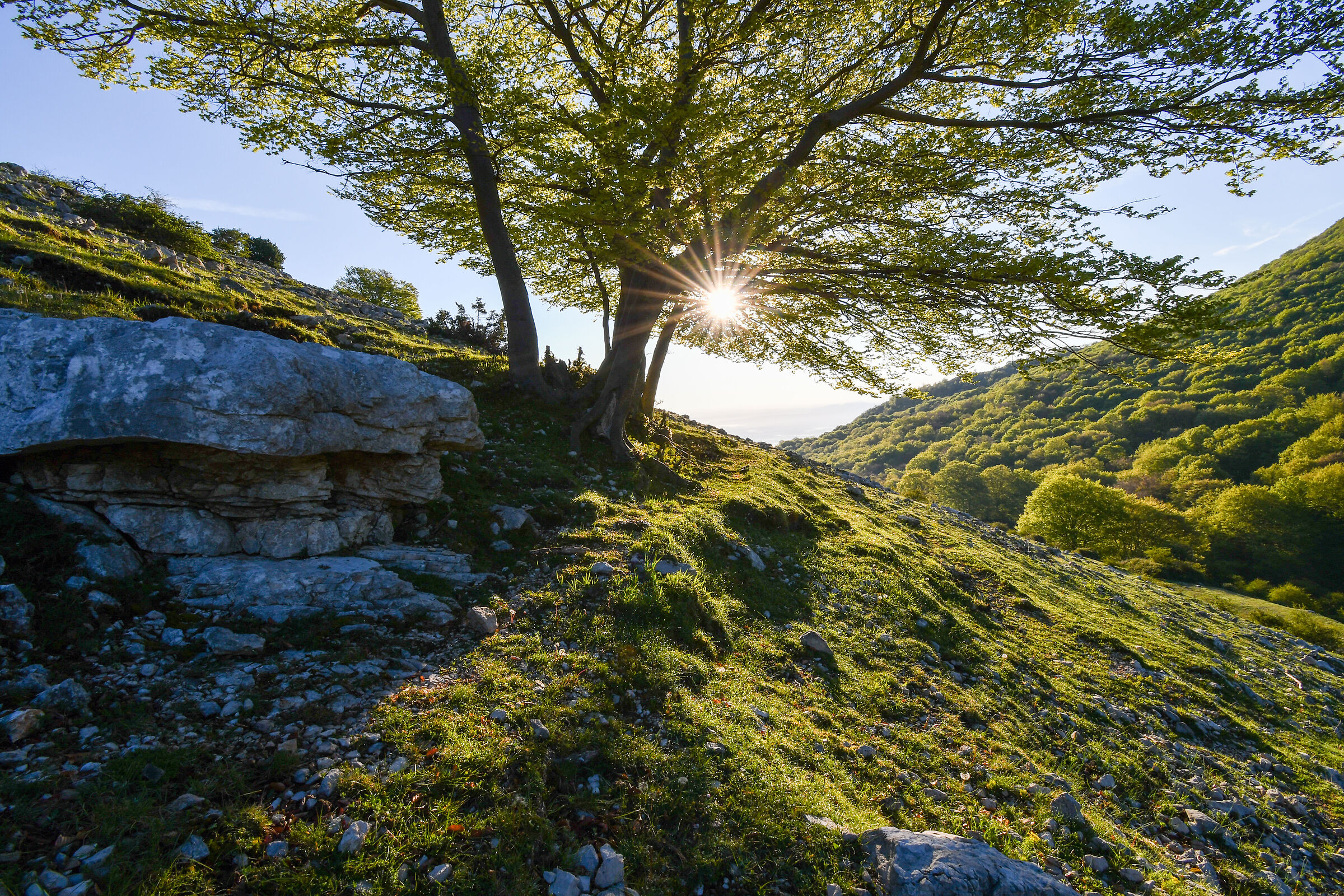 L'inizio della primavera !!!