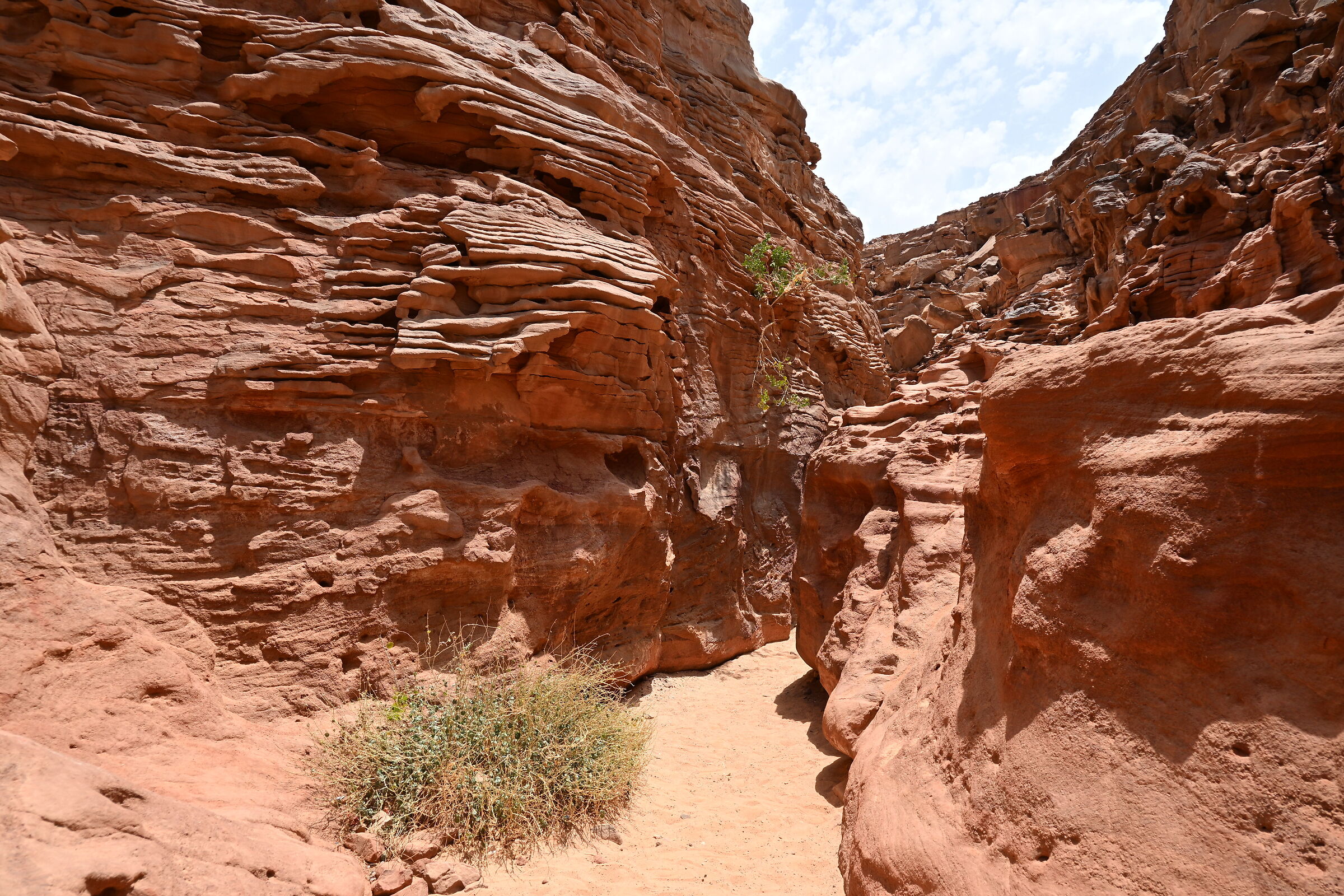 Red Canyon, Sinai