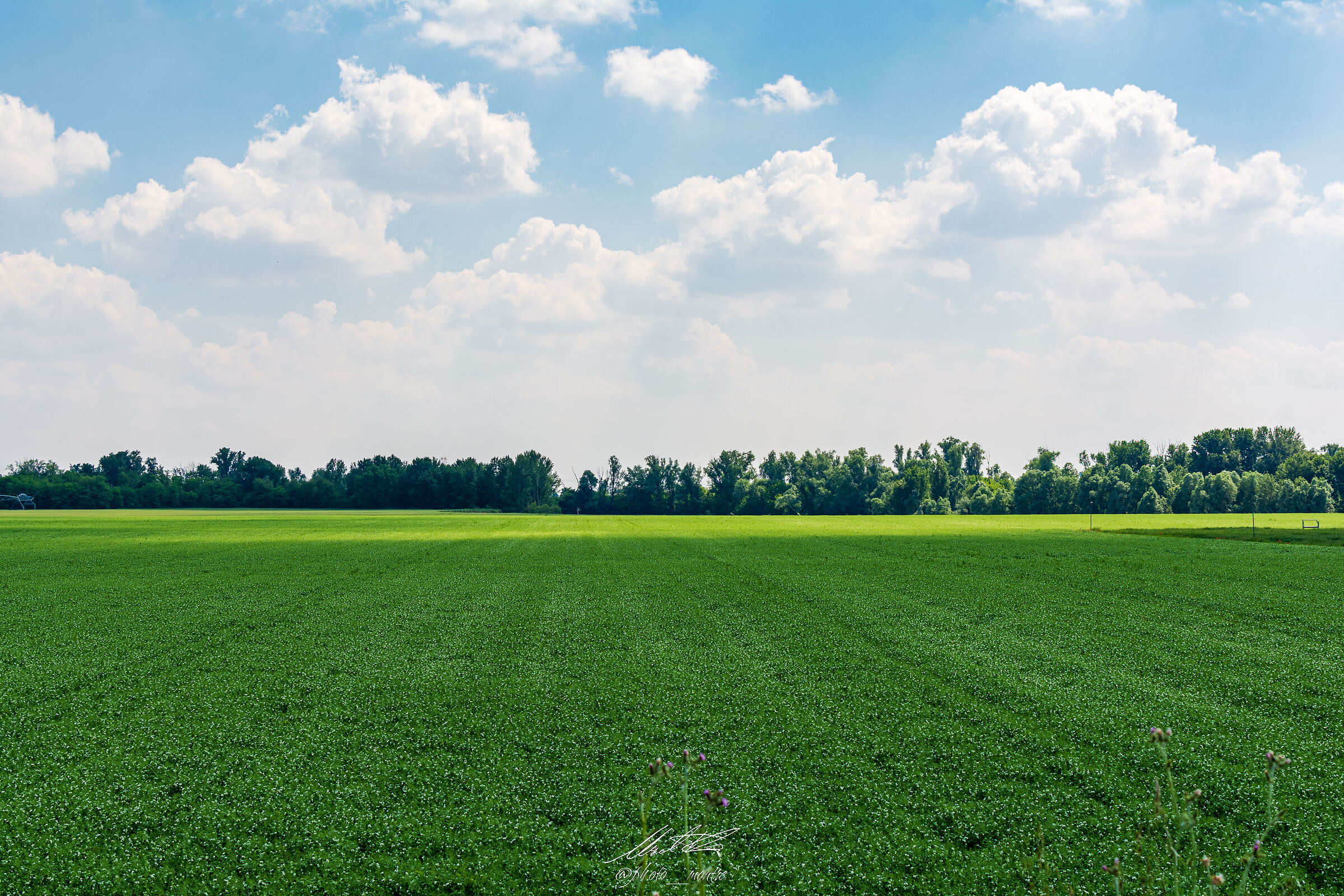 Tra il verde della campagna e l'azzurro del cielo