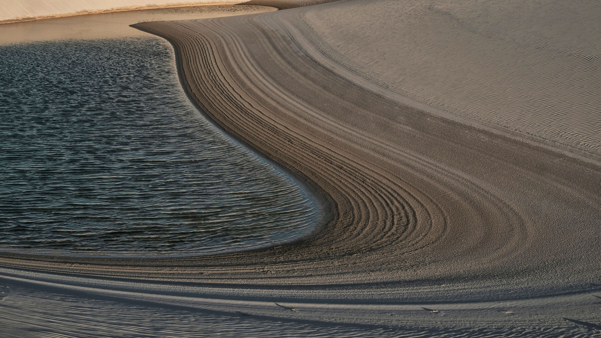 Disegno della natura