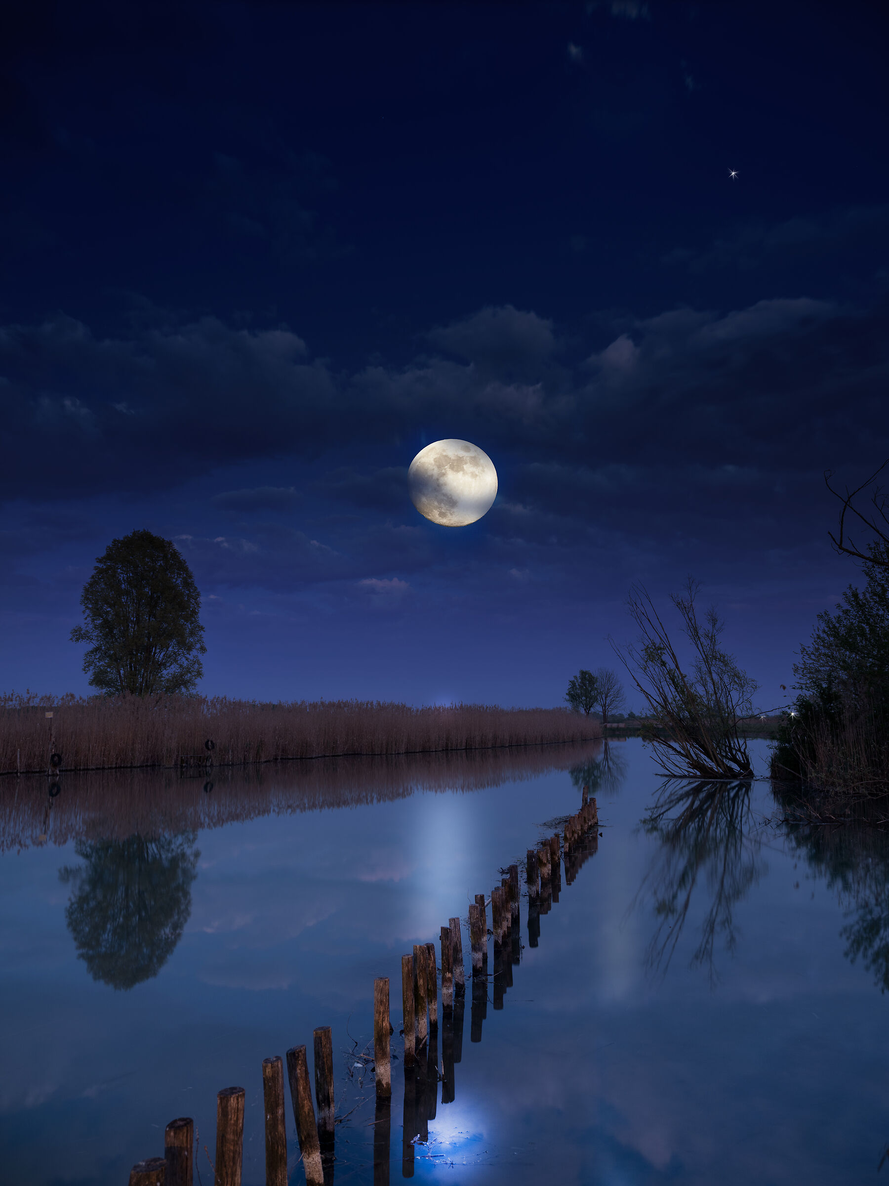 Luna piena nelle Valli del Mincio a Rivalta