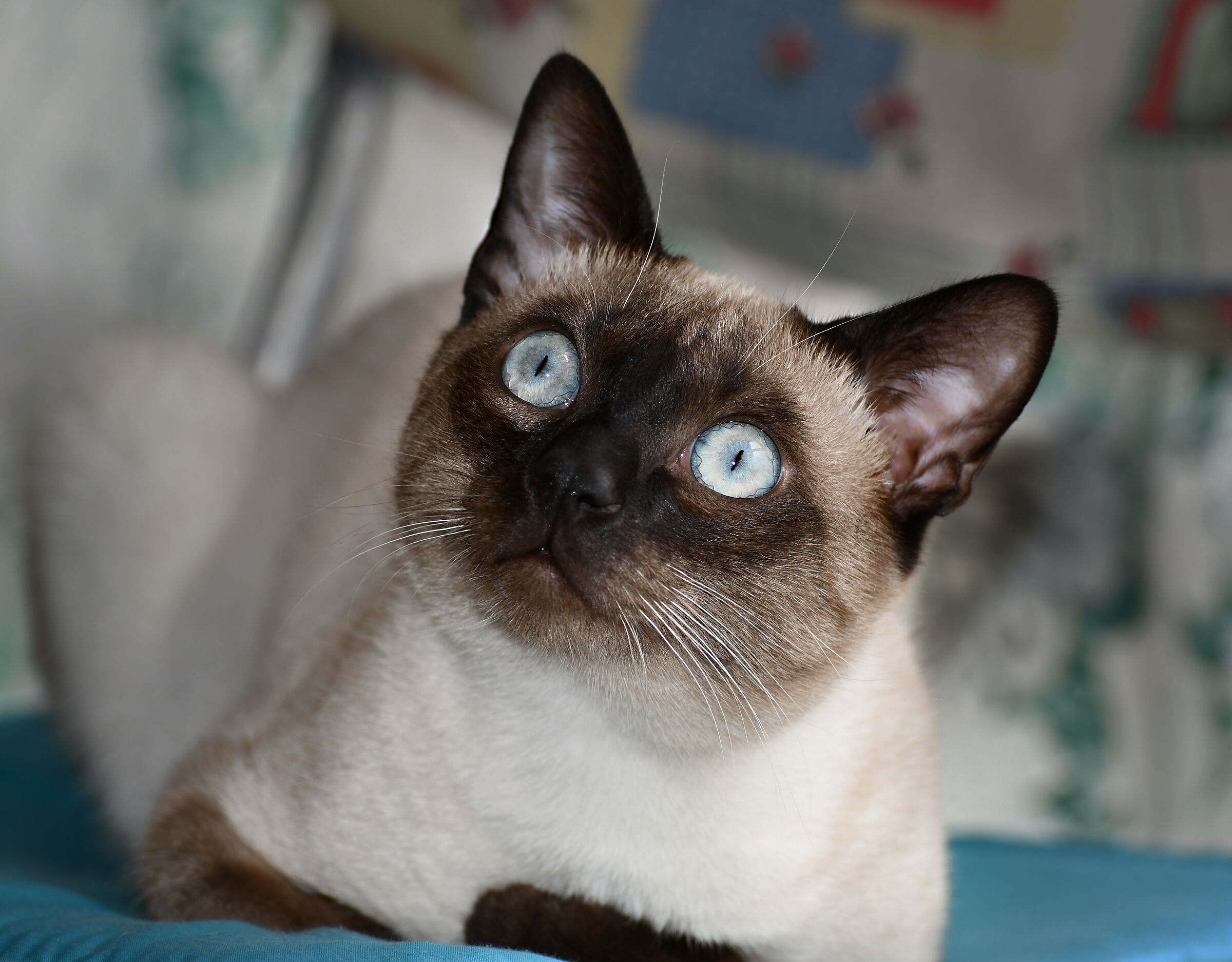 Ad occhi aperti...sogno!