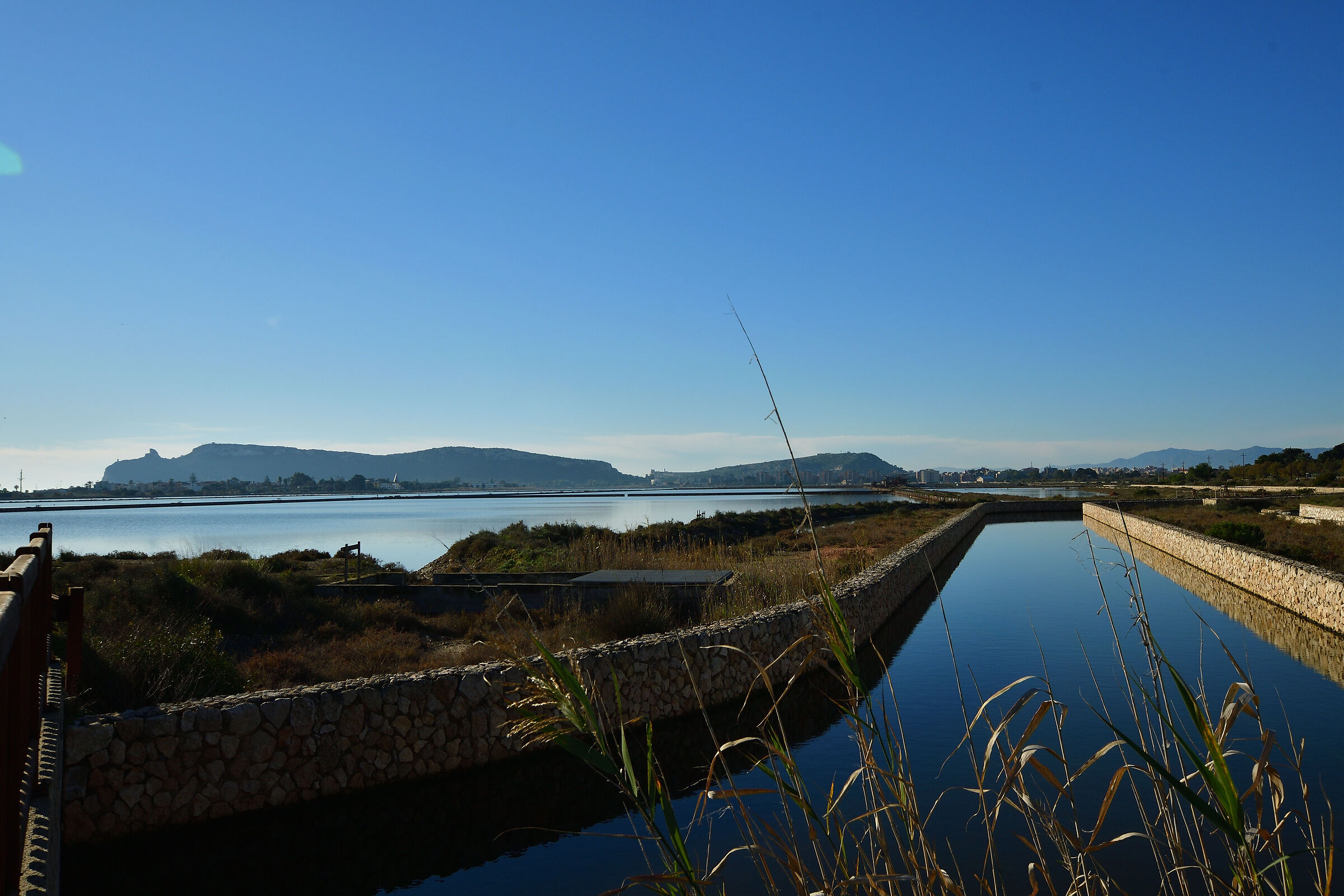 Cagliari Parco Molentargius