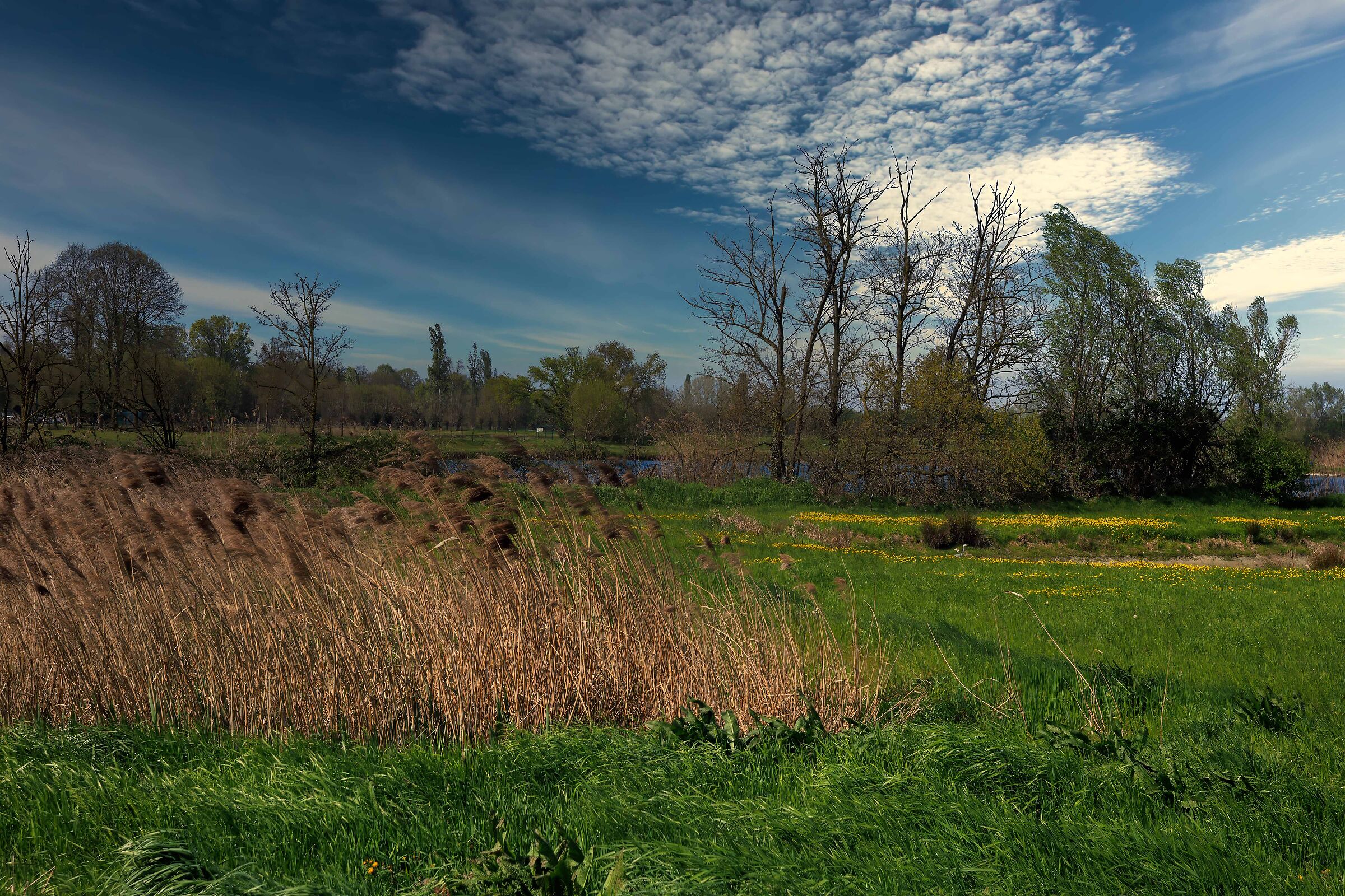 Quando s'alza il vento
