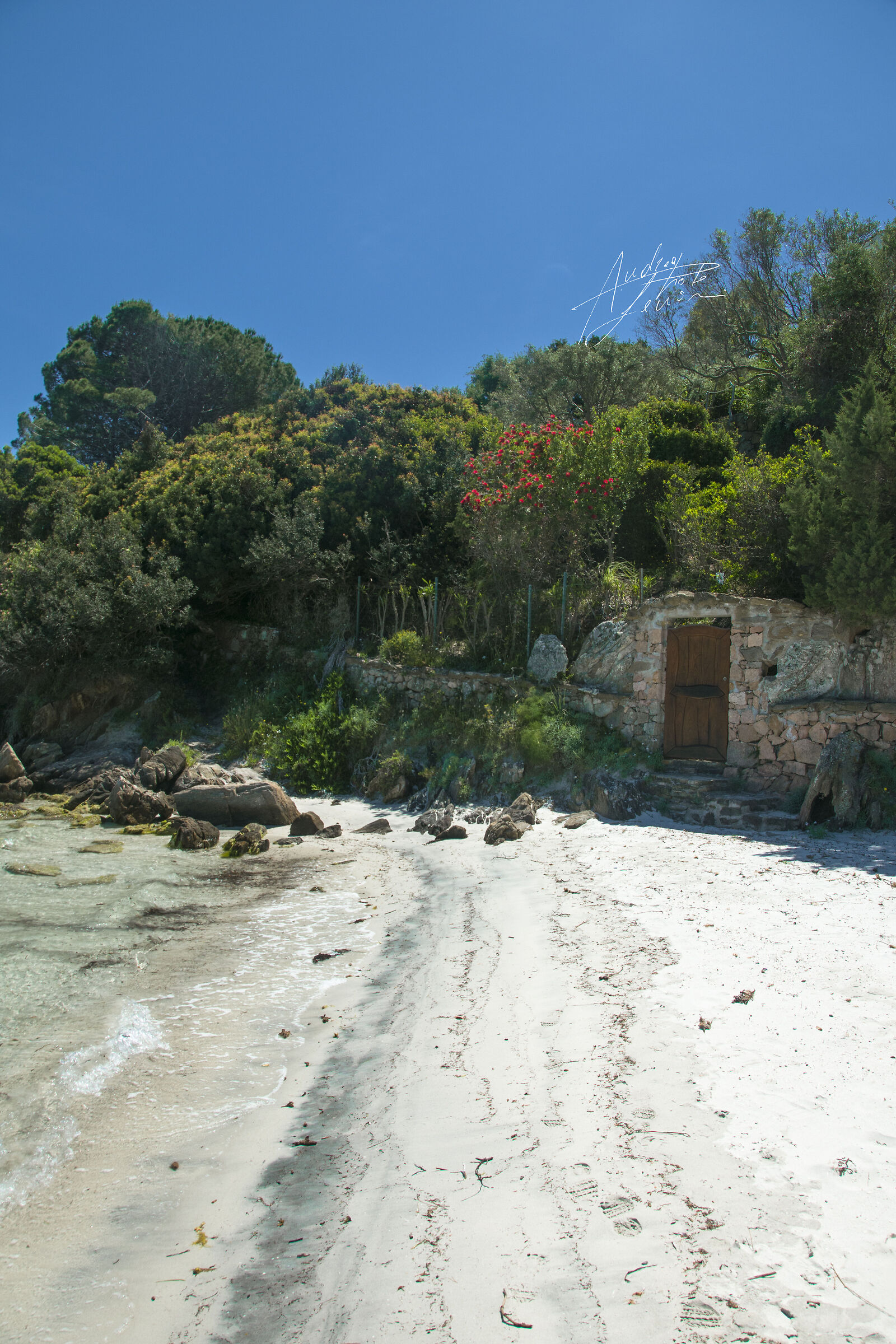 SOS ARANZOS BEACH