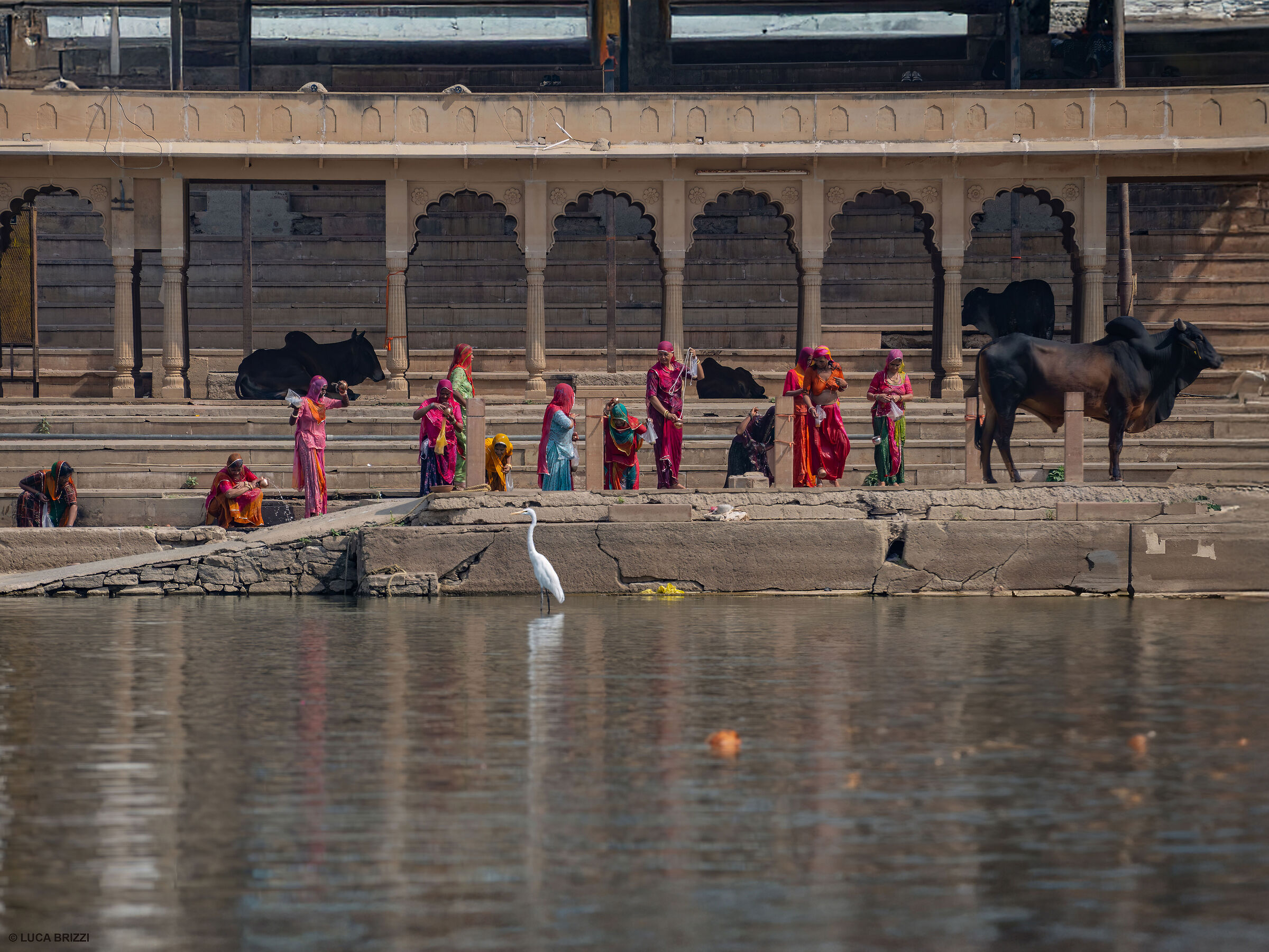Pushkar nei colori 02