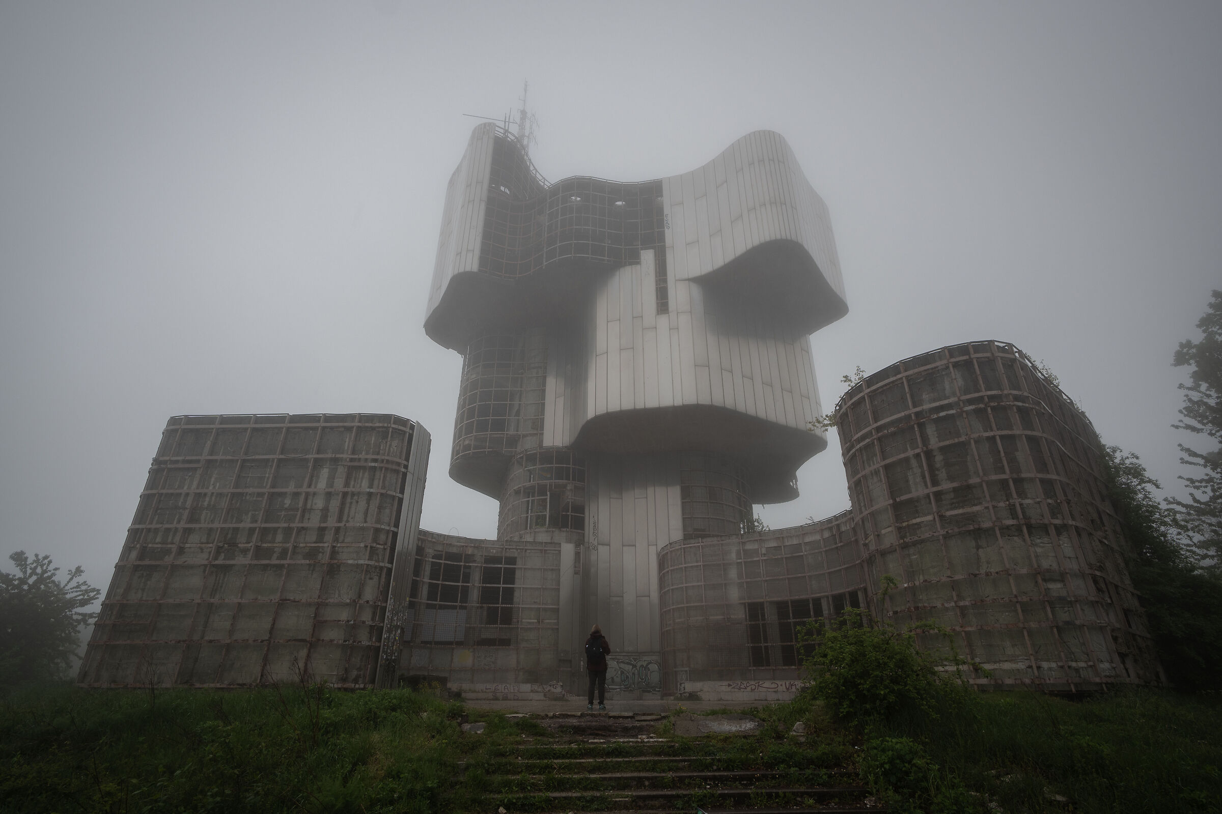 Il gigante nella nebbia