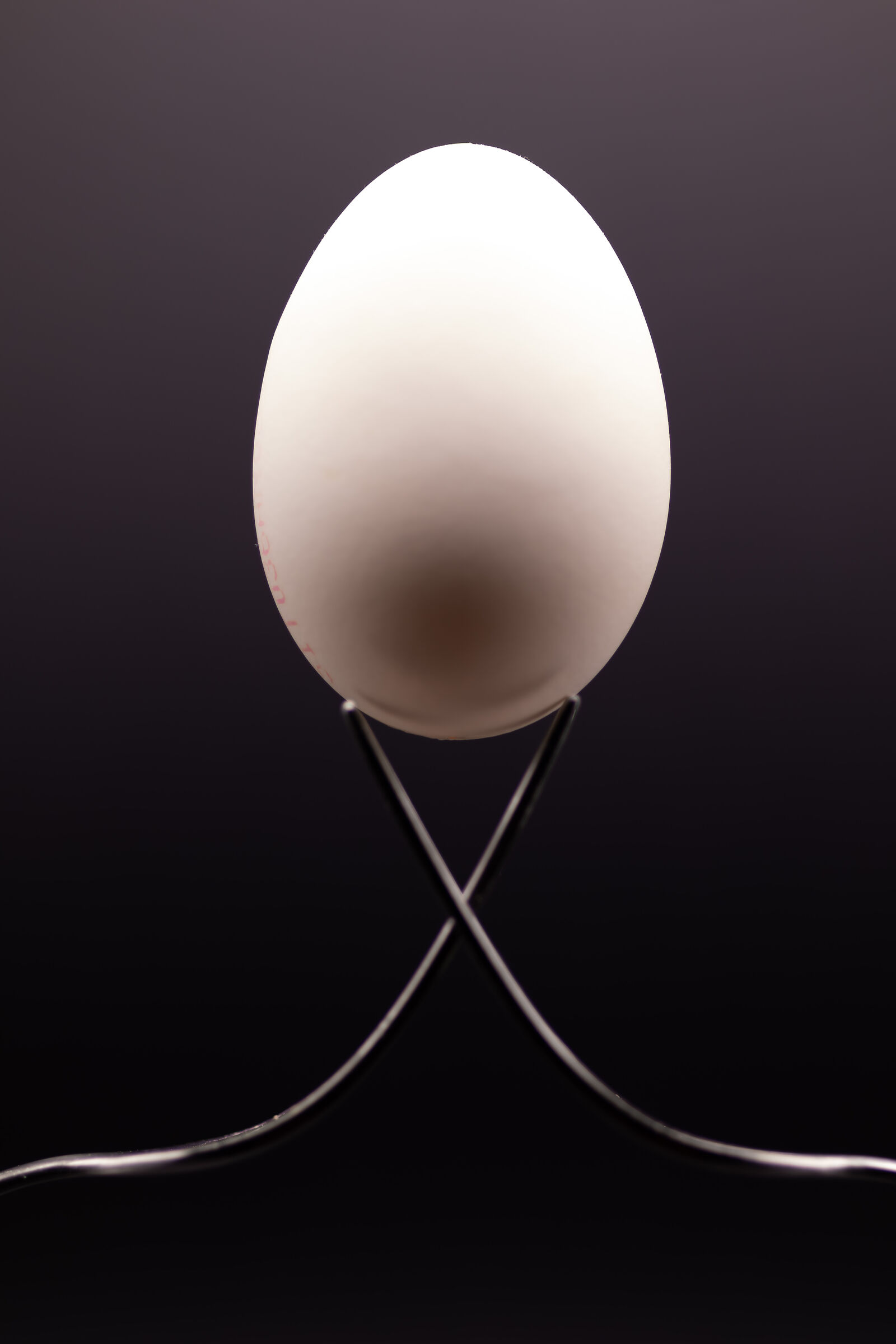 uovo design