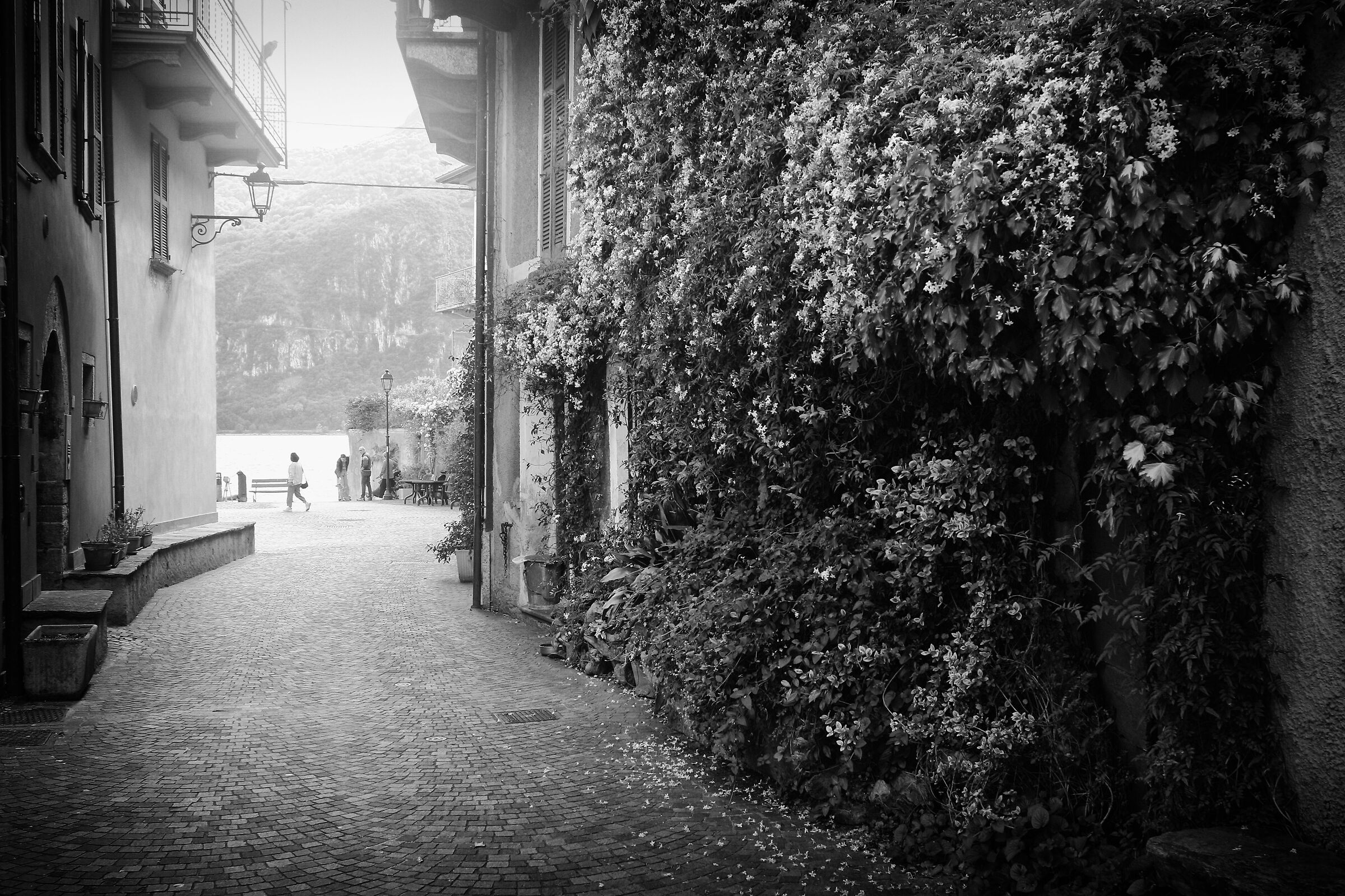Mandello del Lario street bw