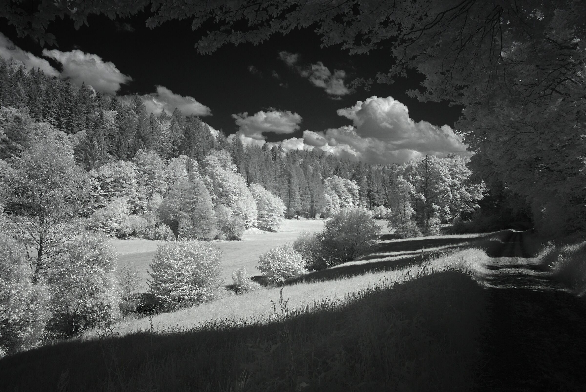 Brettenbach Valley 1