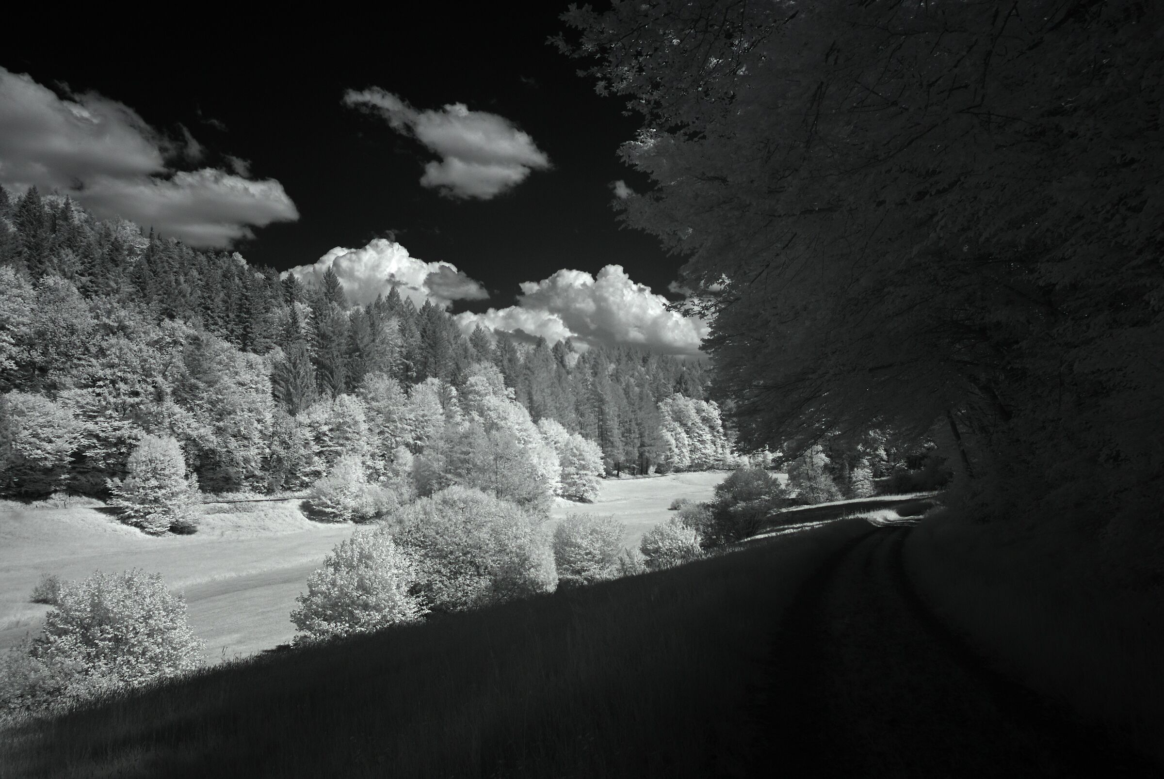 Brettenbach Valley 2