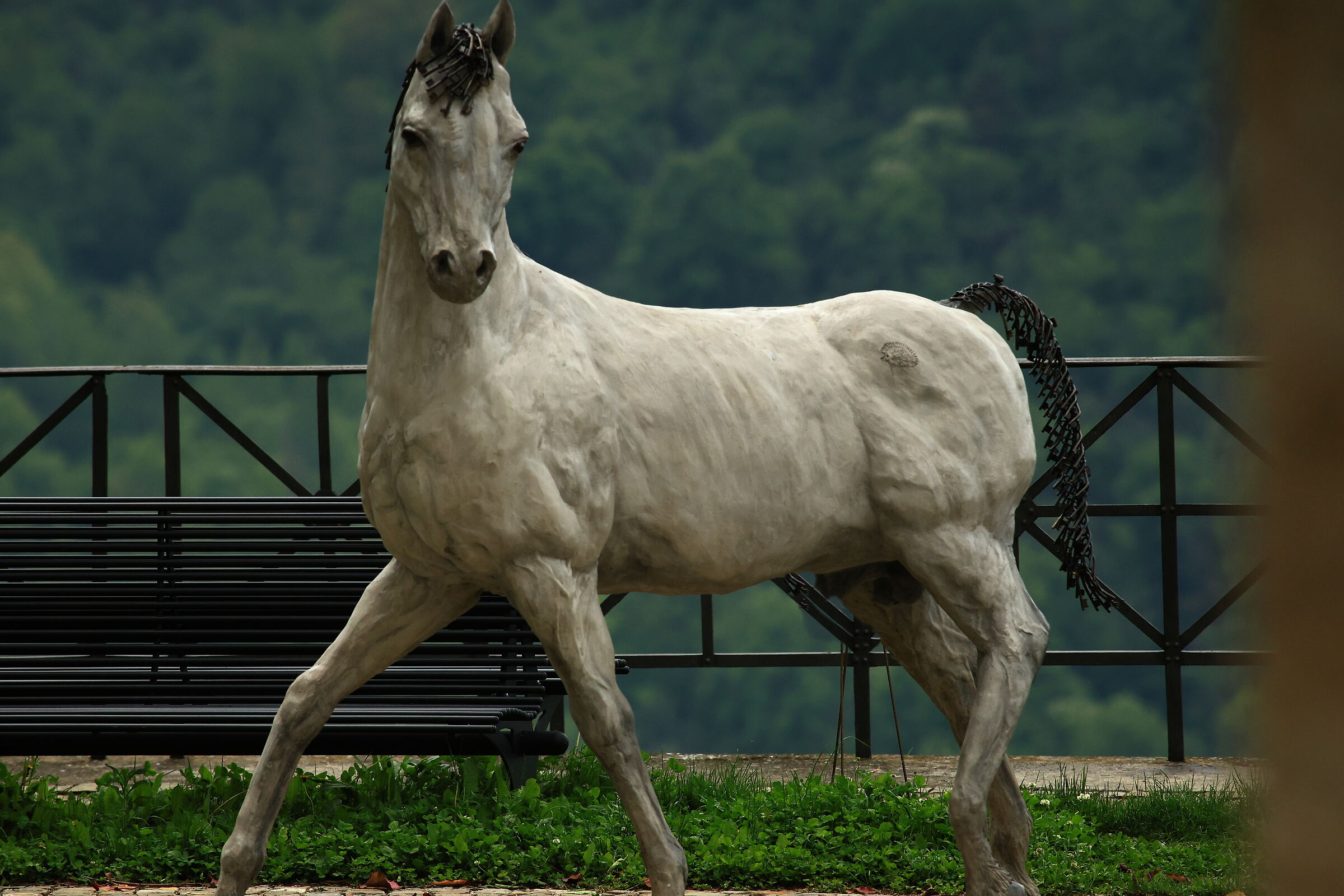 White Horse