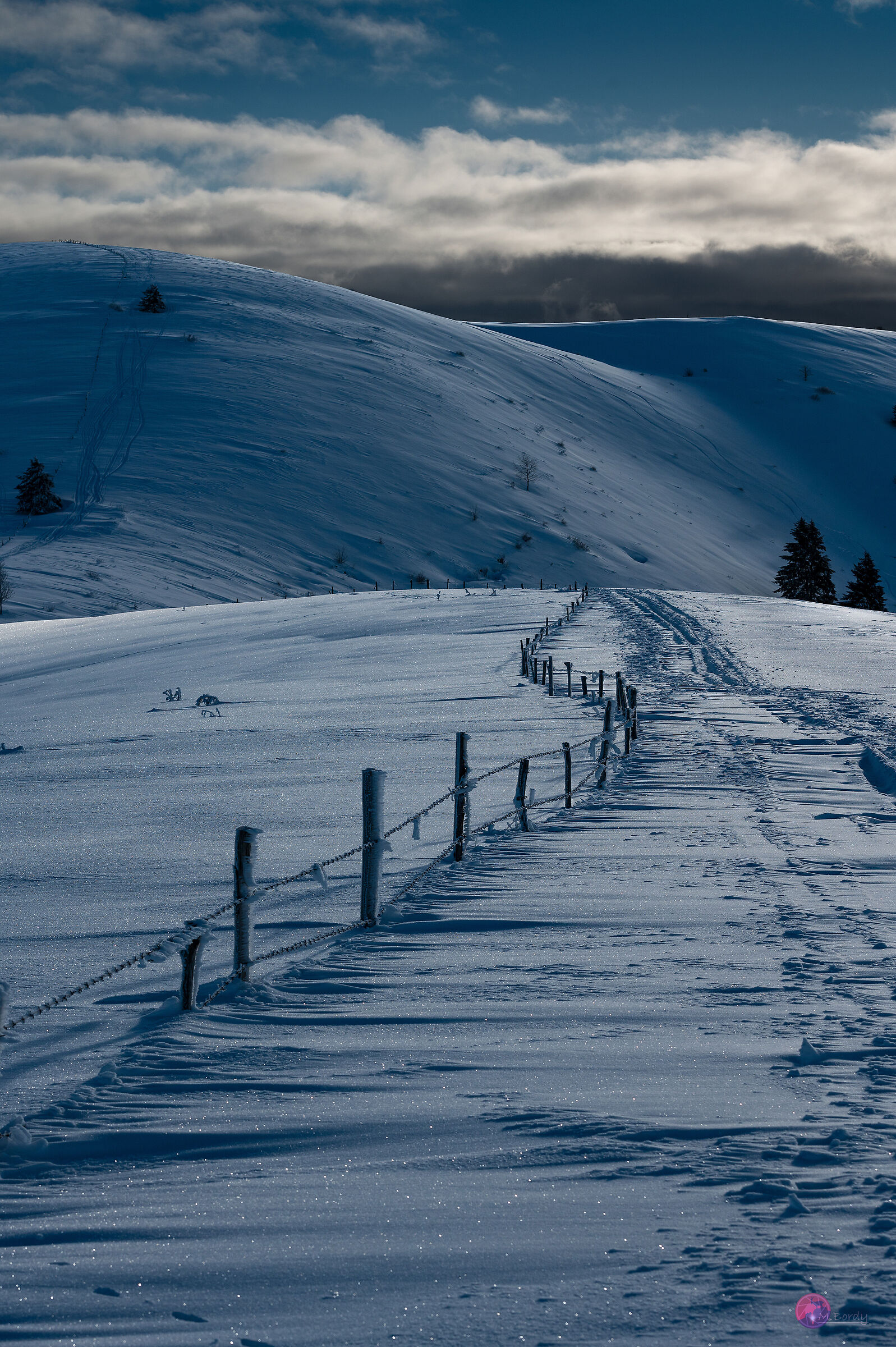 Along the barbed wire