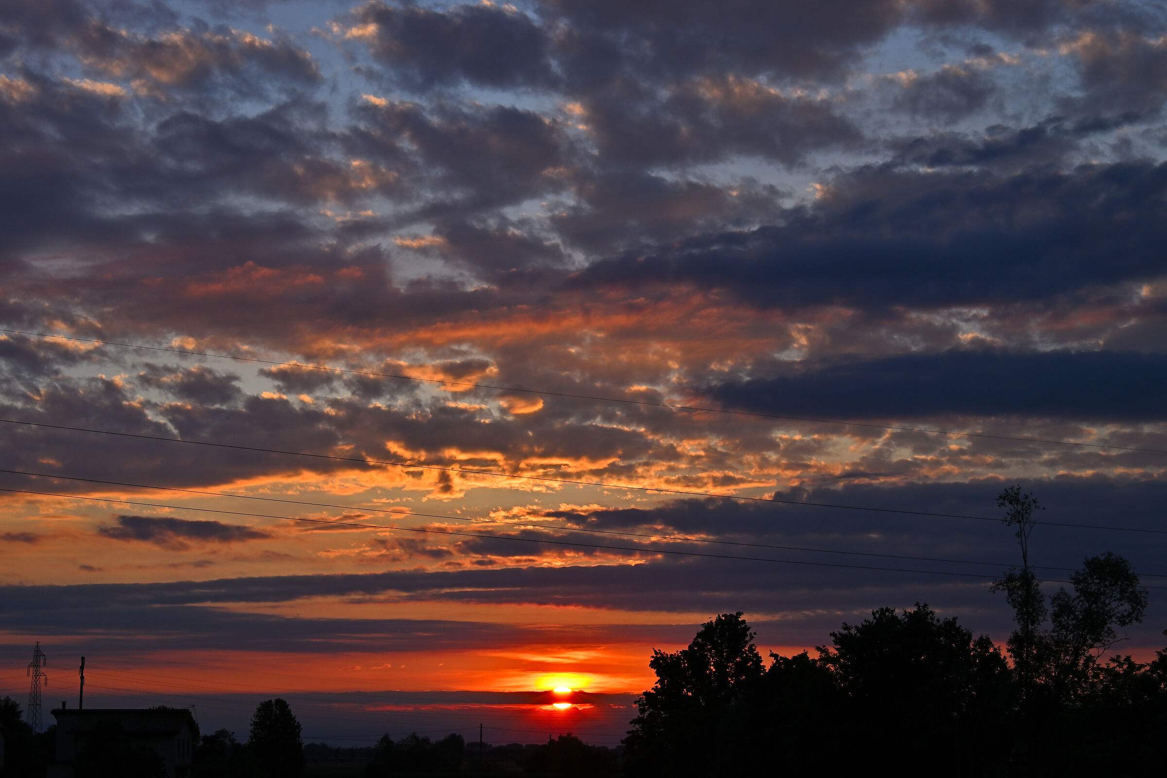 Untitled Photo