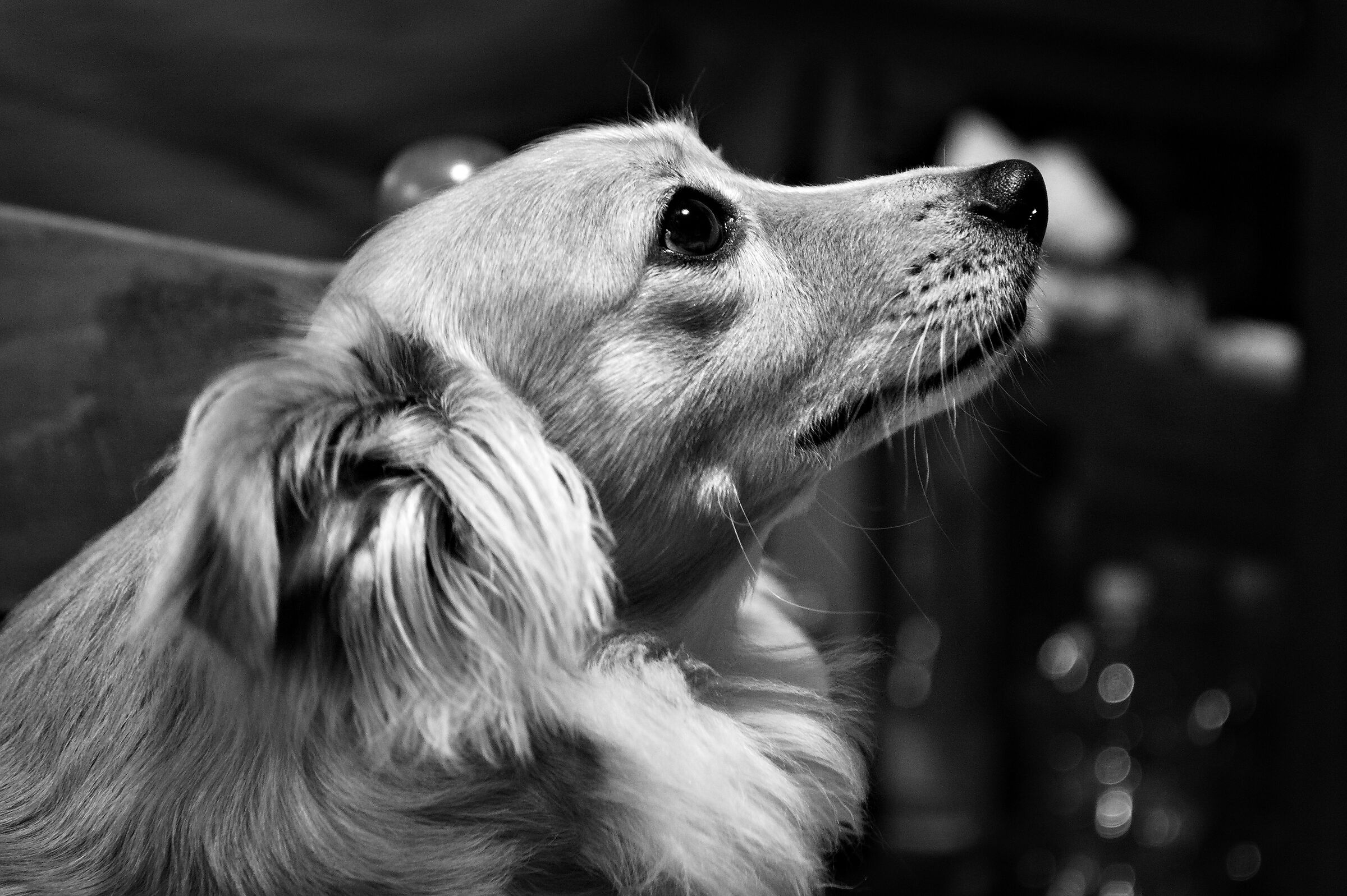 Zoe, a simple b/w portrait