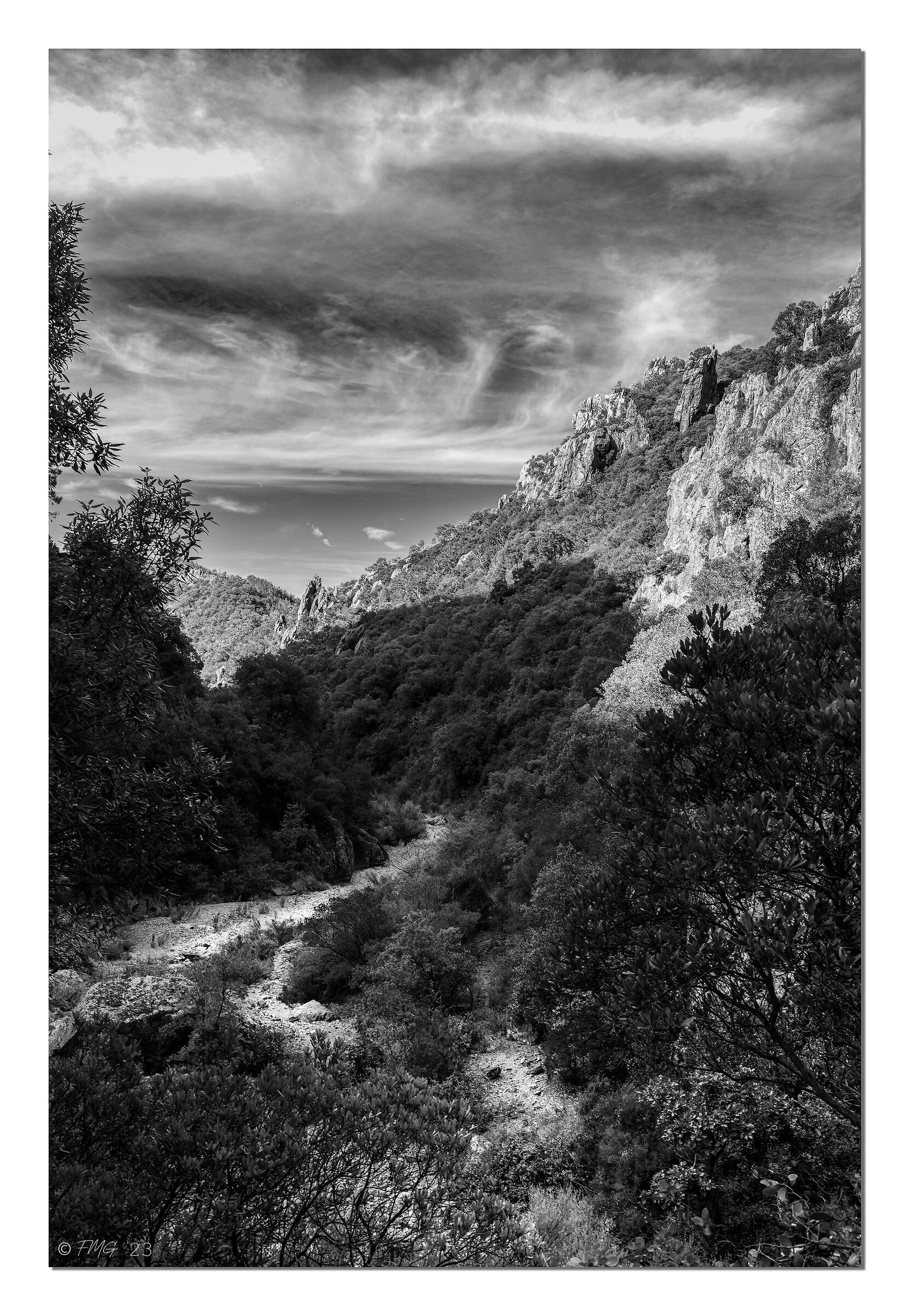 Esterel