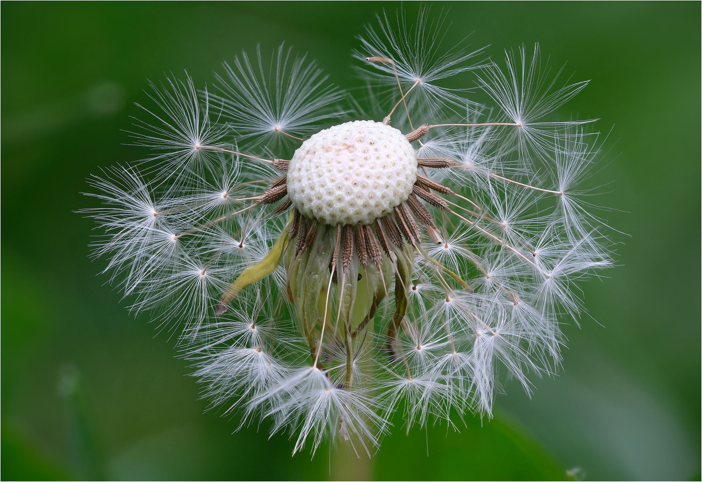 -di nuovo quando si parte-