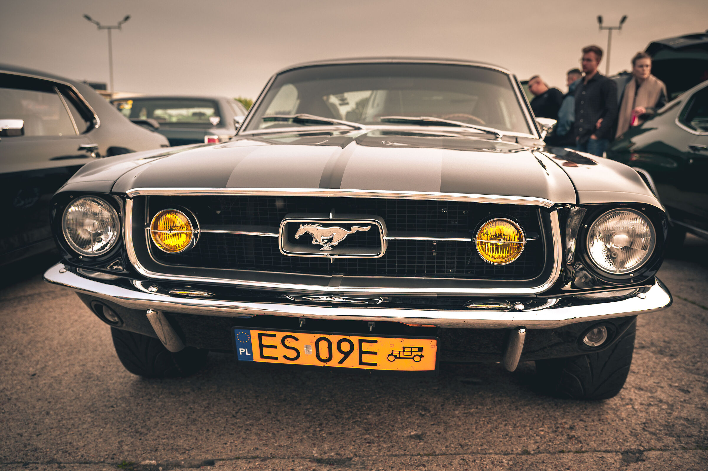 mustang Beauty