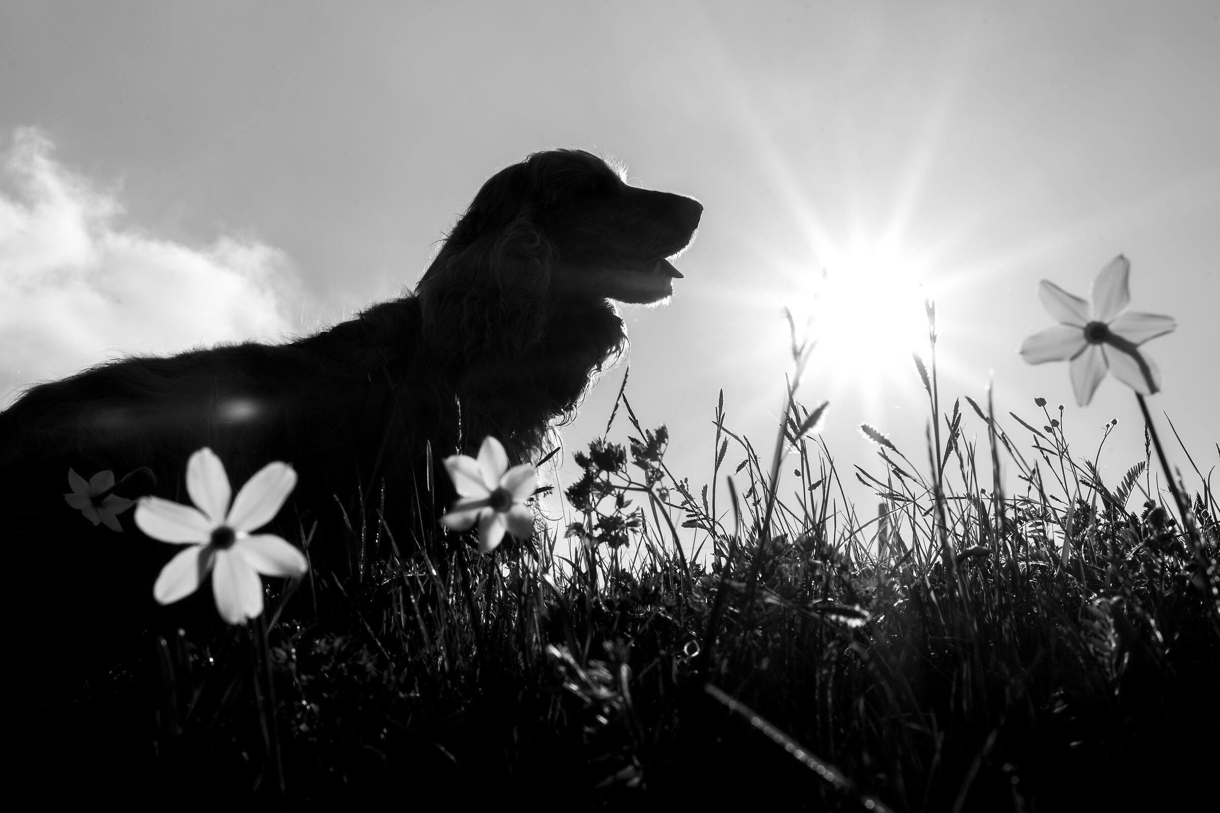 ciò che fa splendere il cuore