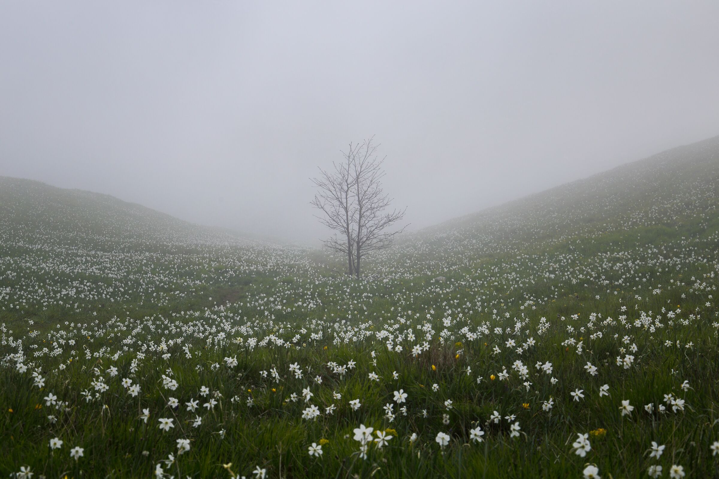 I will amaze you too....