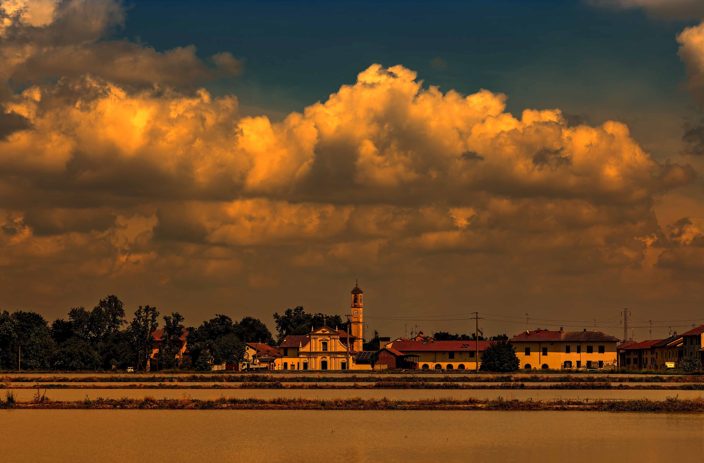 Rice is born in water and must die in wine