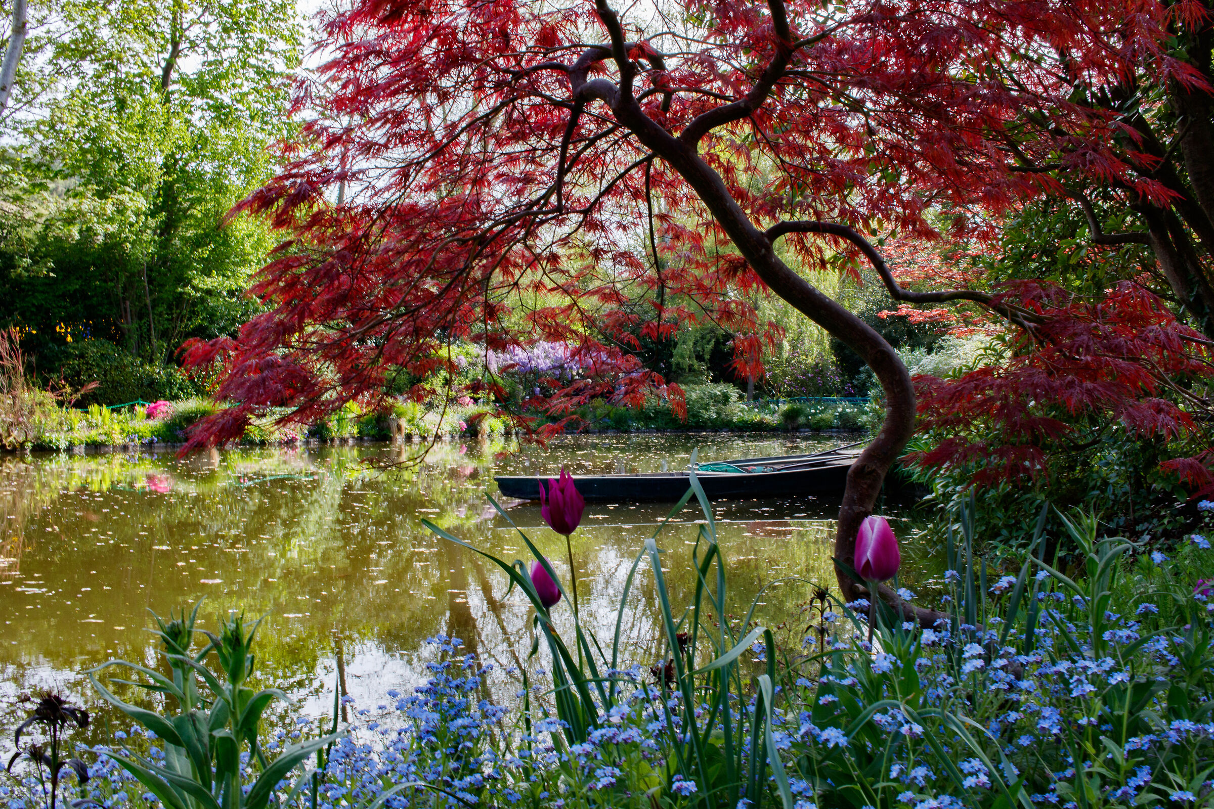 Lo stagno di Giverny