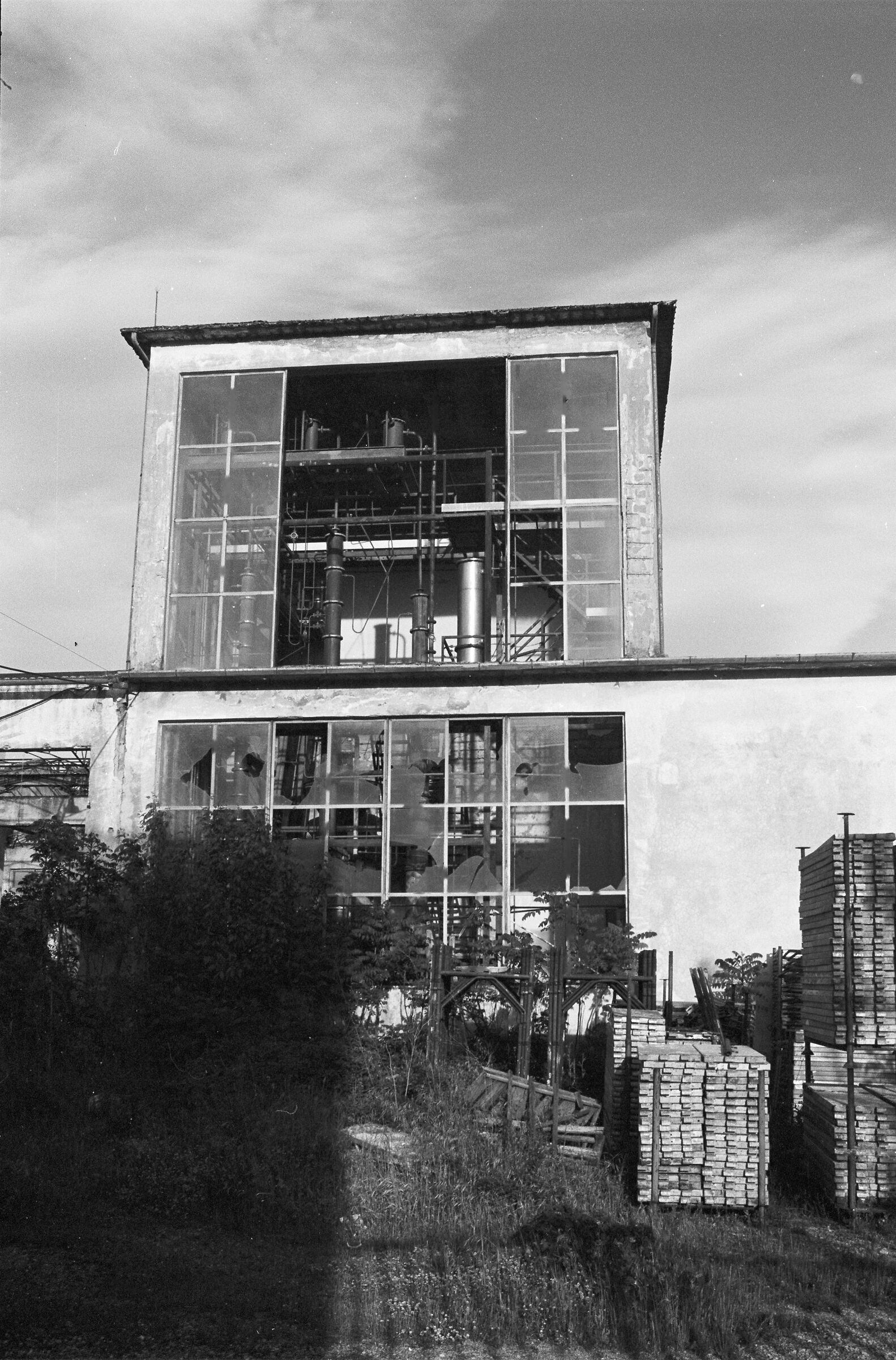 Rio ex distilleria fp4 plus 125 iso