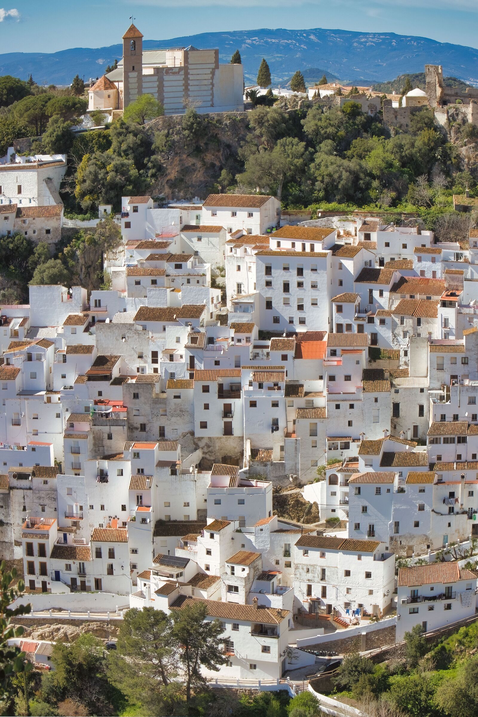 Casares