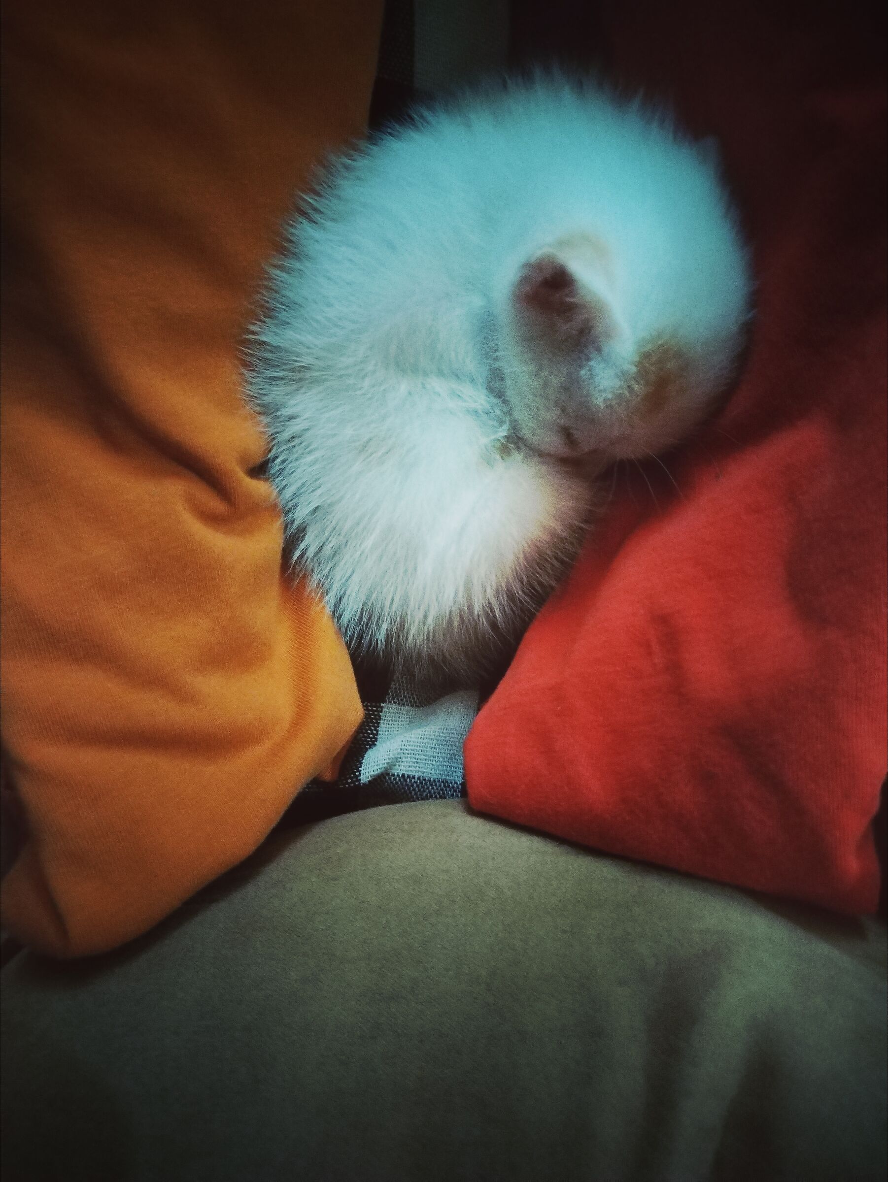Max