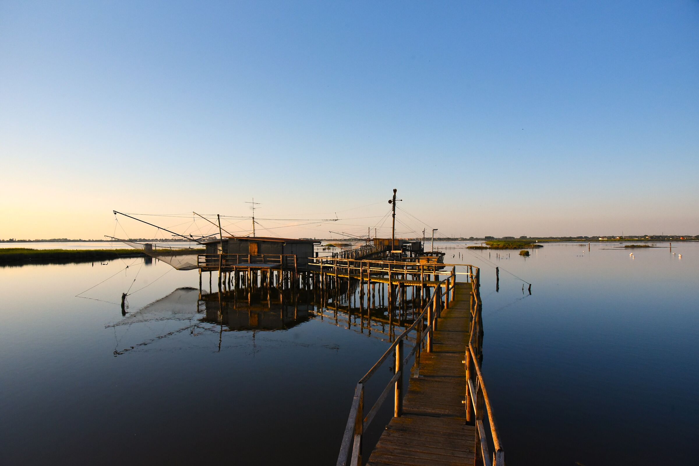 Nelle sfumature del blu ...