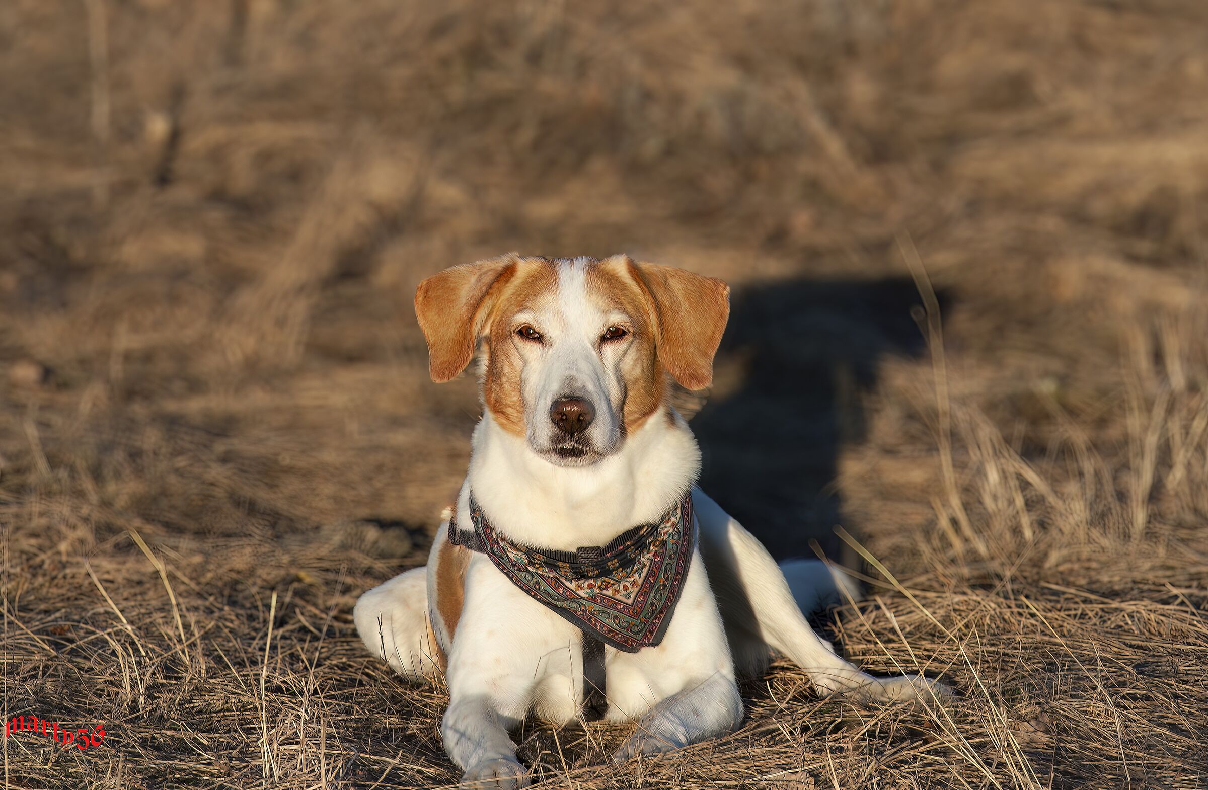 You take the pictures I control