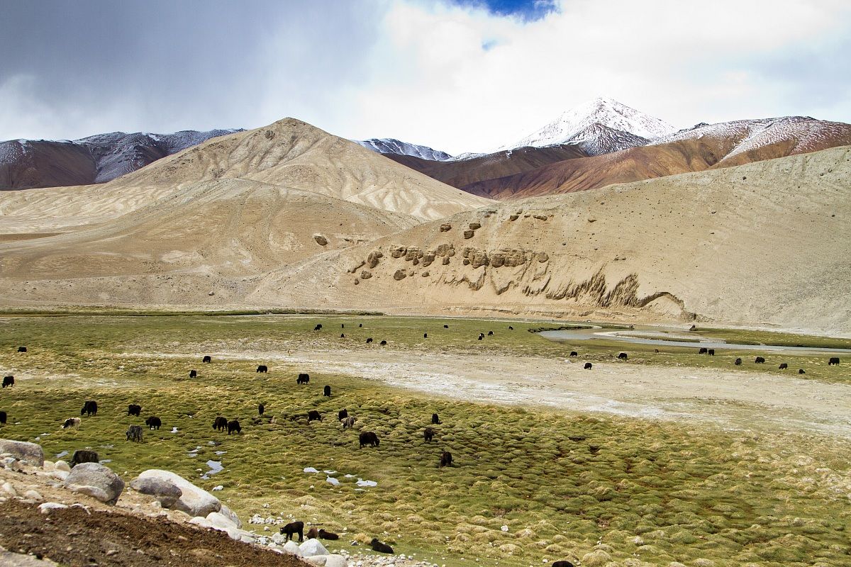 Pascoli sui Pamirs