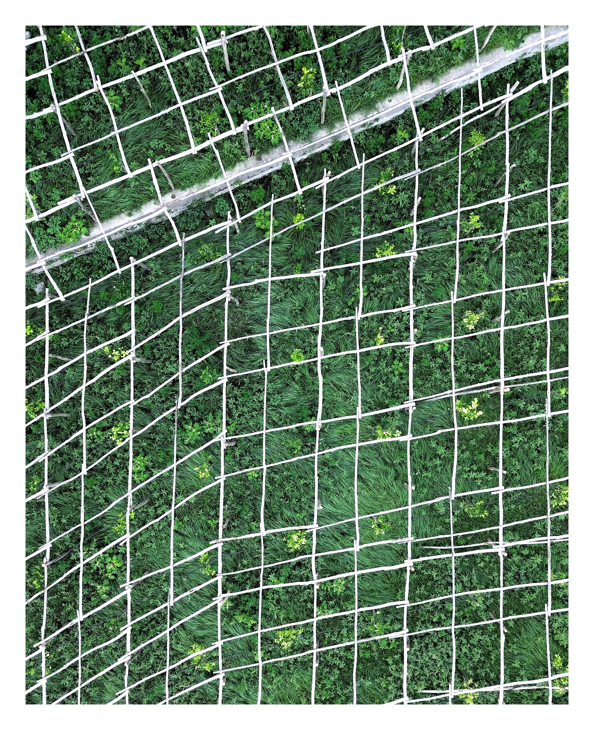 Pattern
