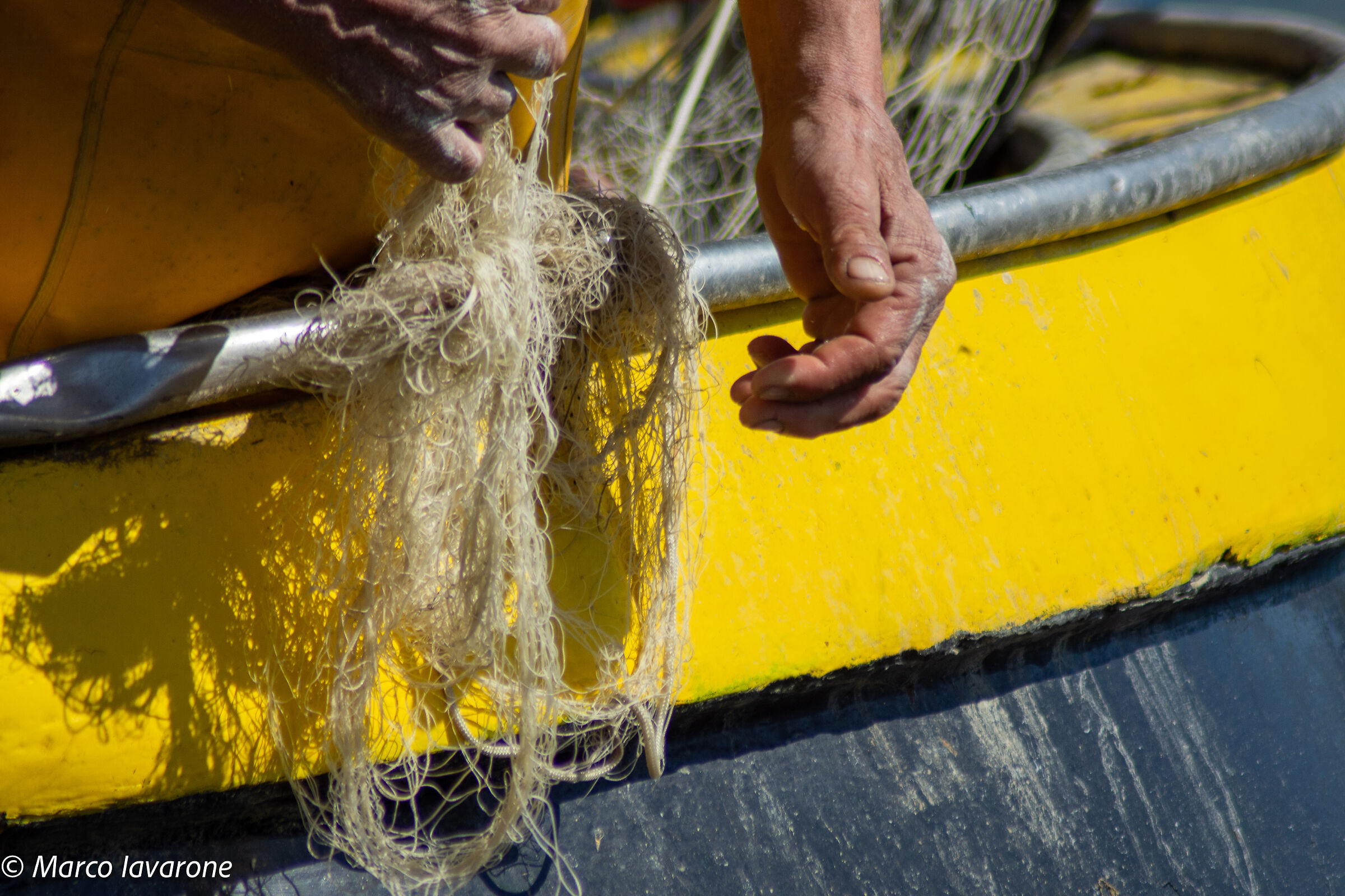 SAPINETE HANDS AT WORK