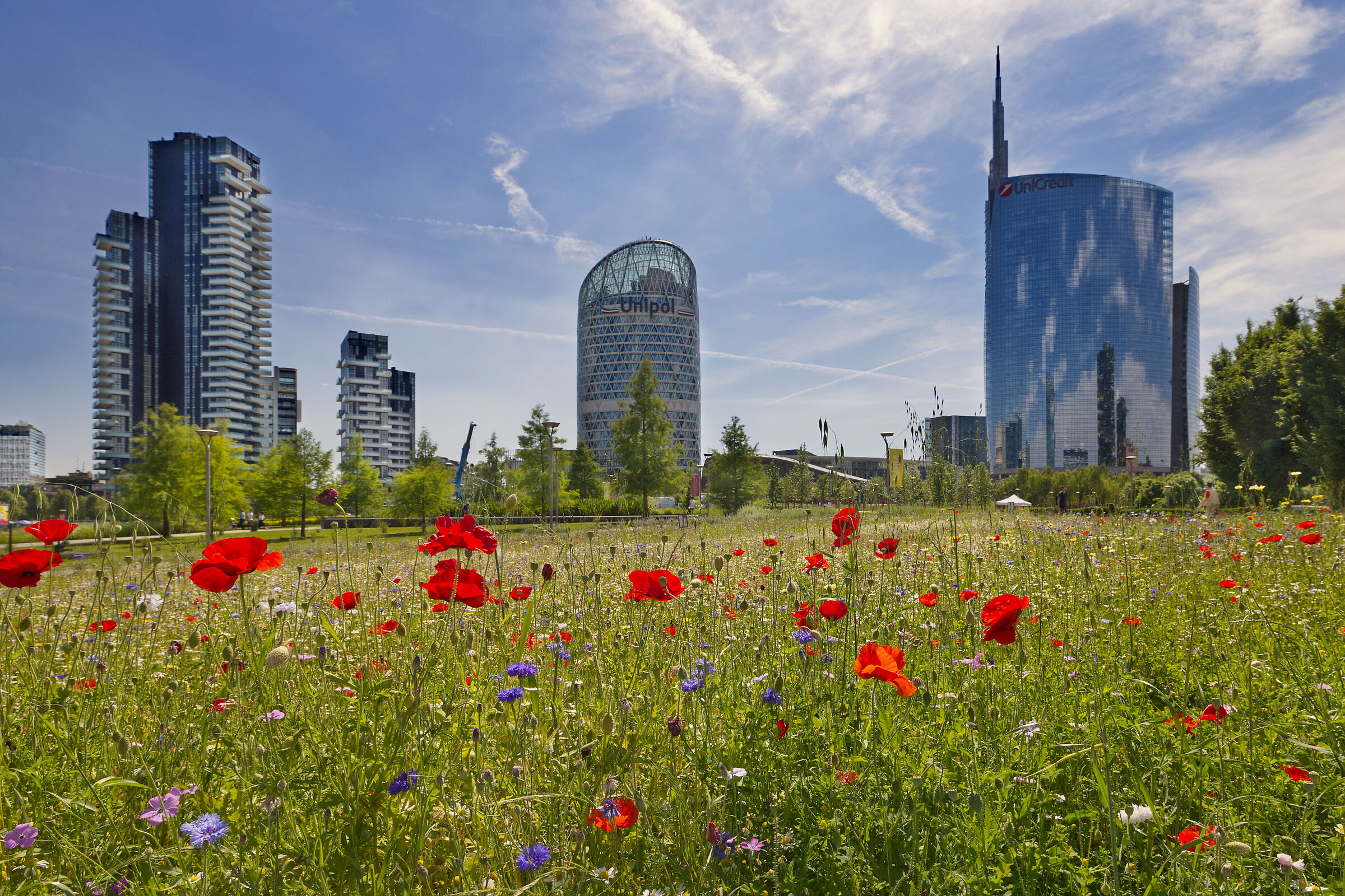 Eppure siamo a Milano!