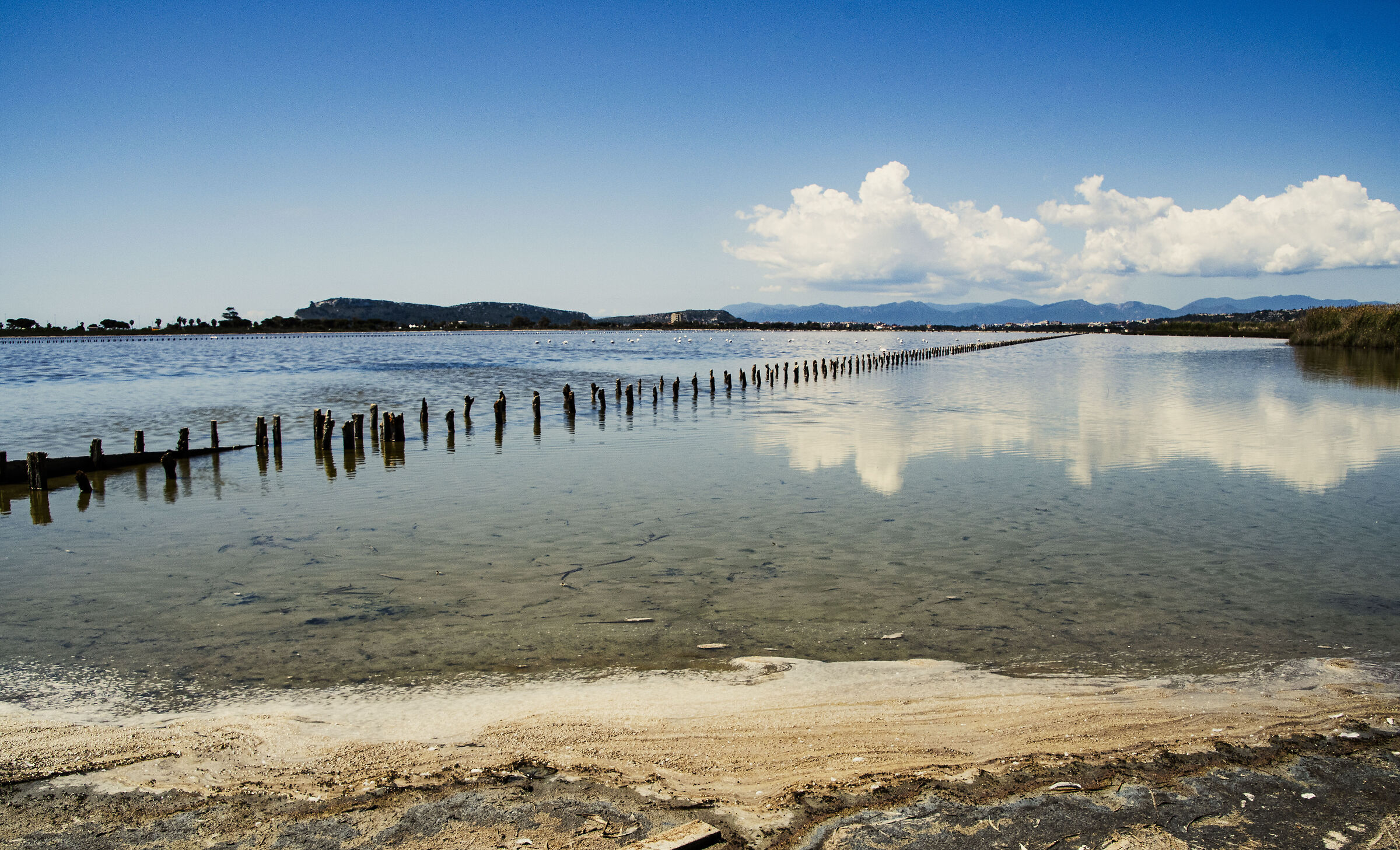 Saline  Cagliari panorama