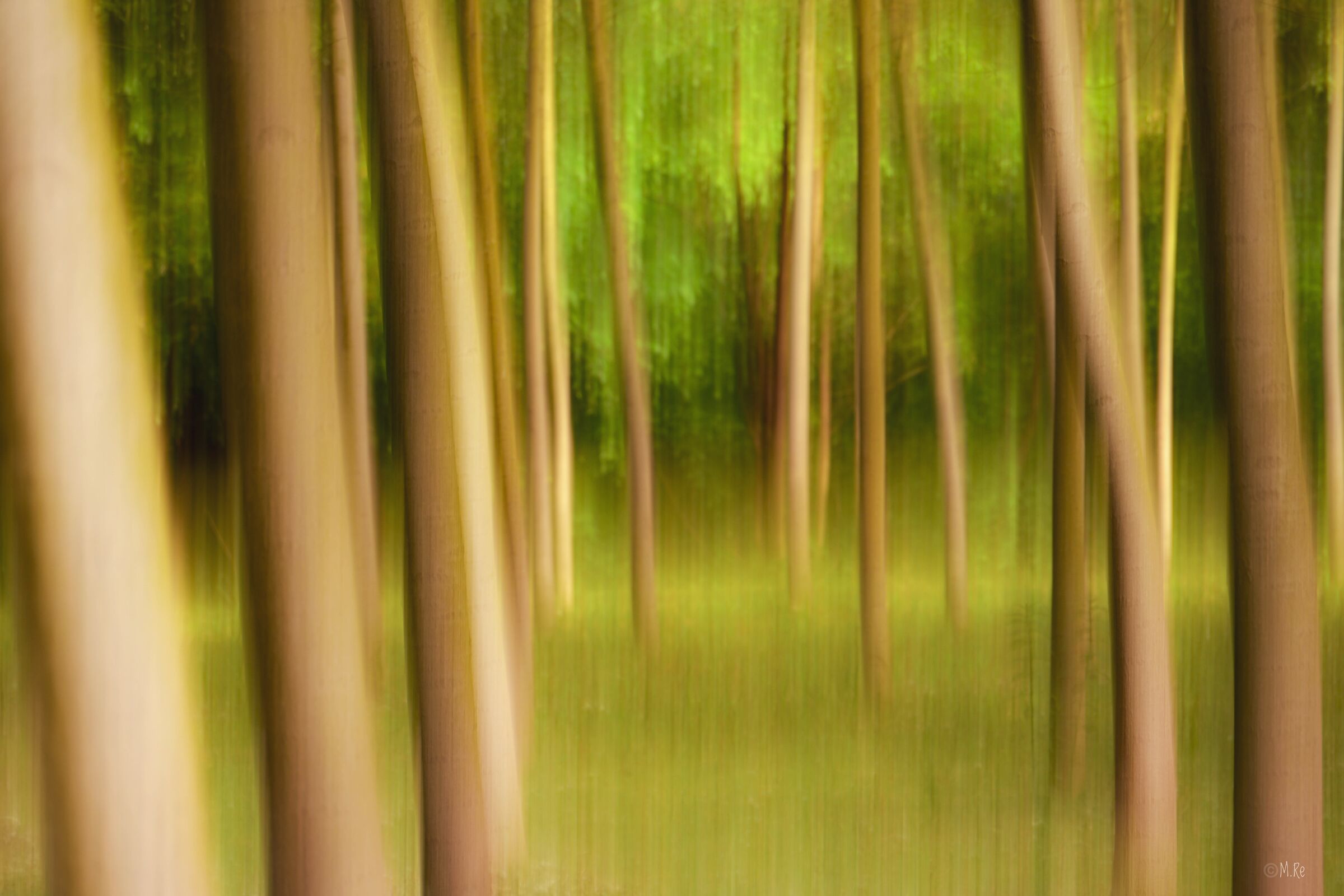 Untitled Photo