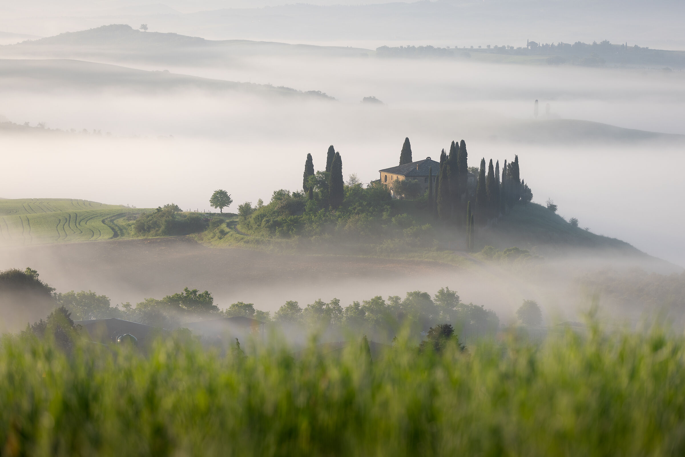 The gentle mists of the Belvedere
