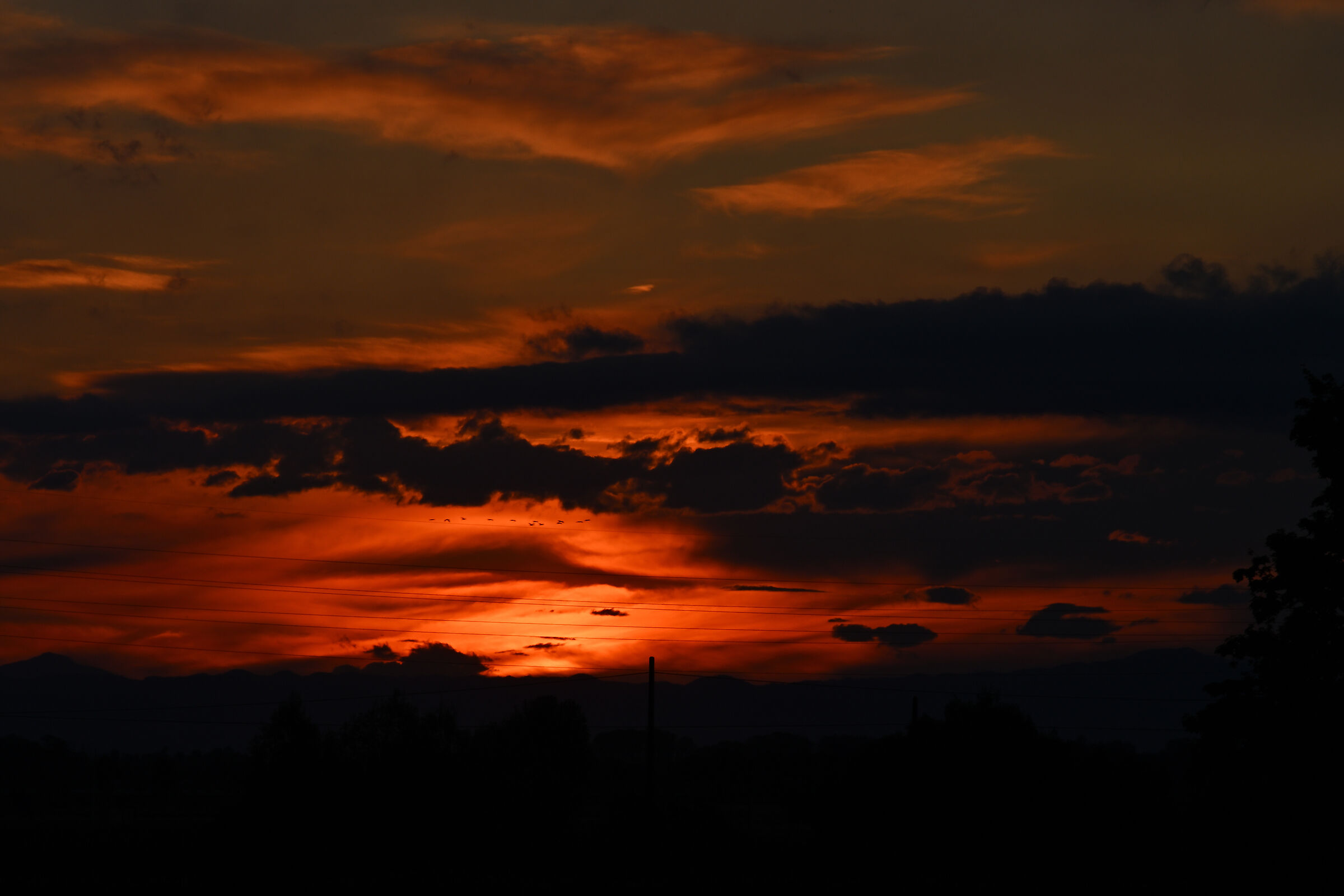 Untitled Photo