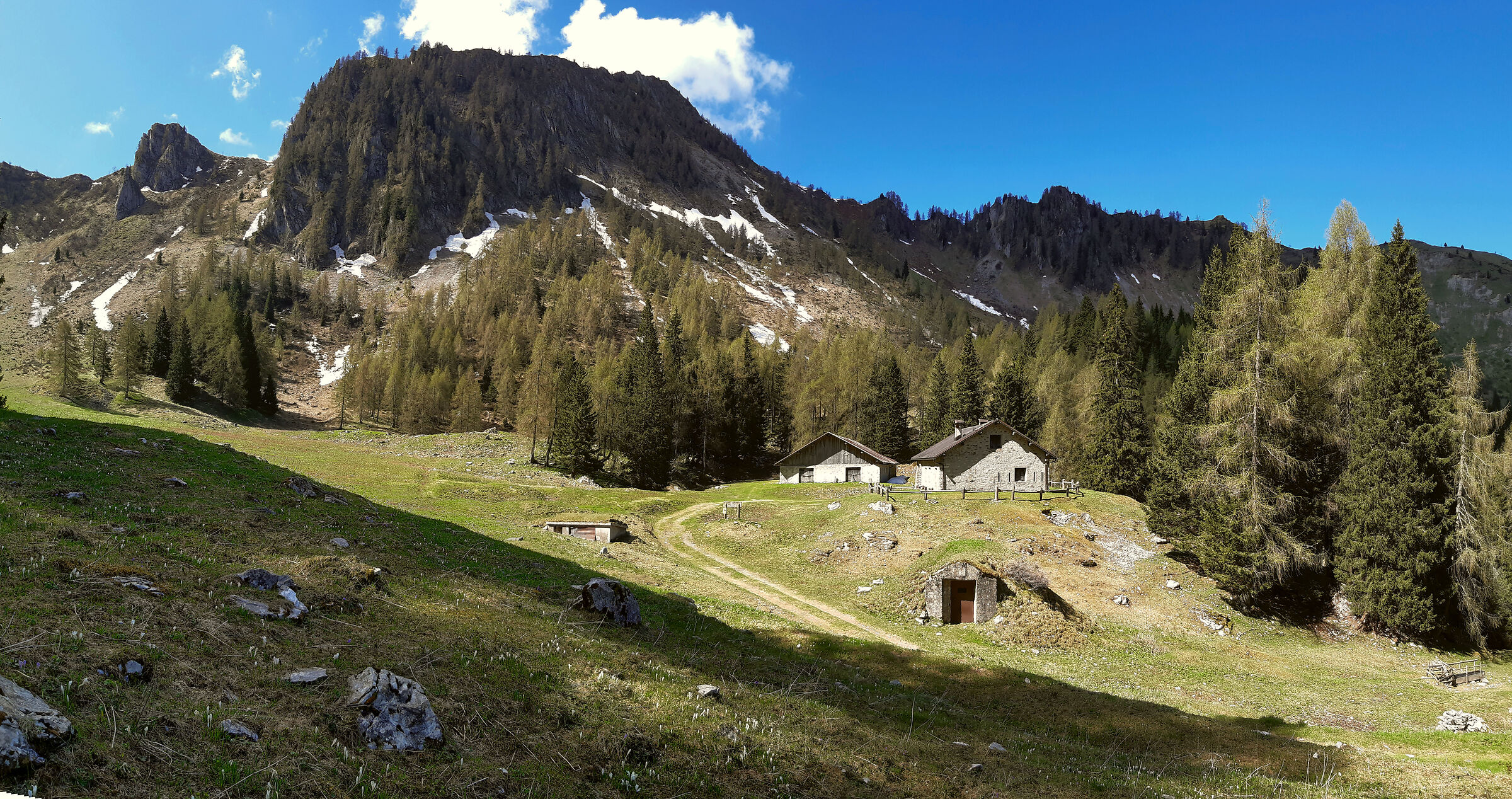 Malga Campei_Tione di Trento 1713 mt