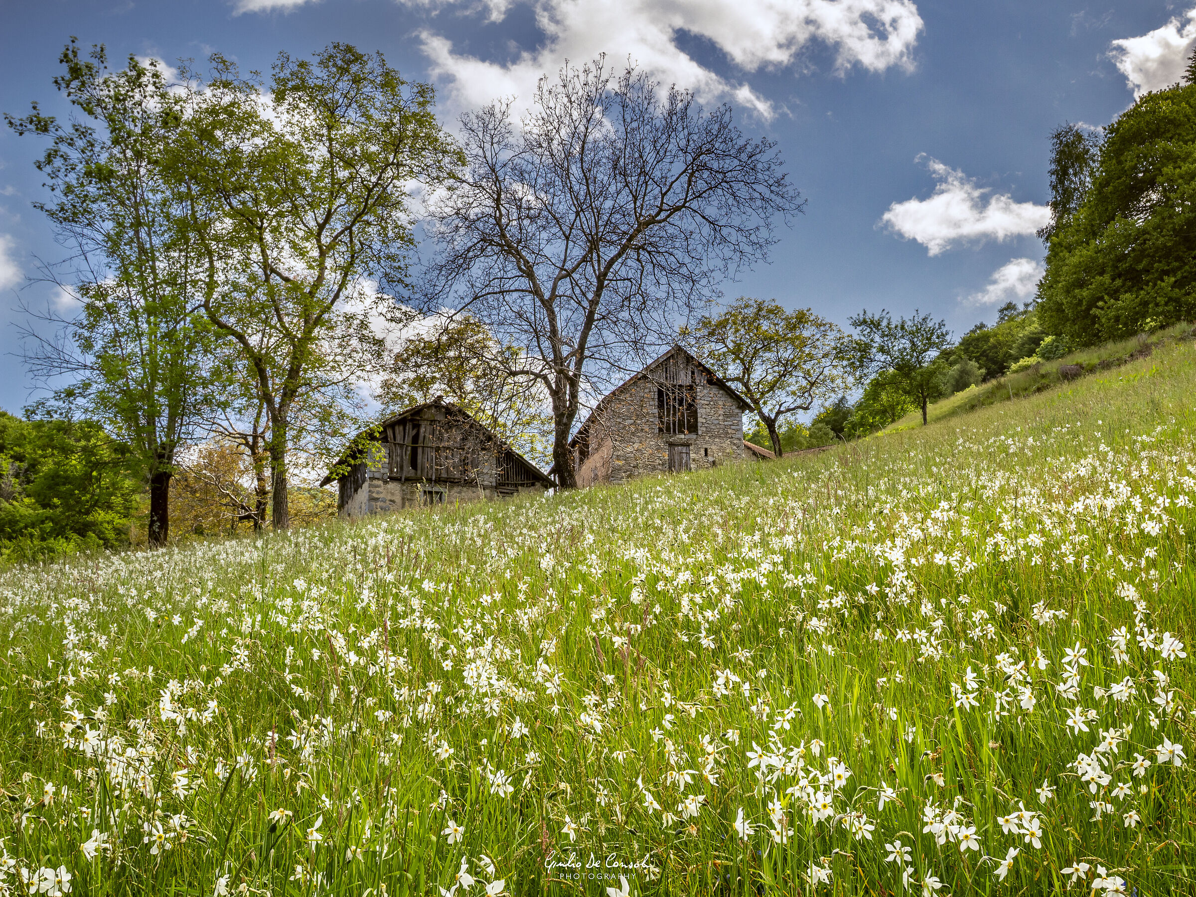 Un pomeriggio di maggio