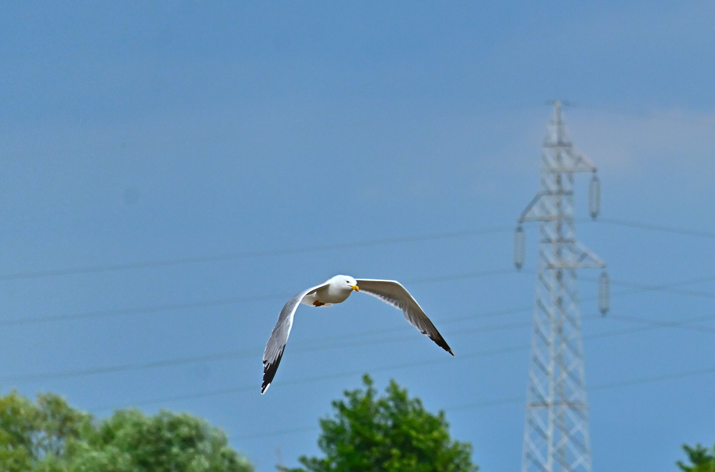 Untitled Photo