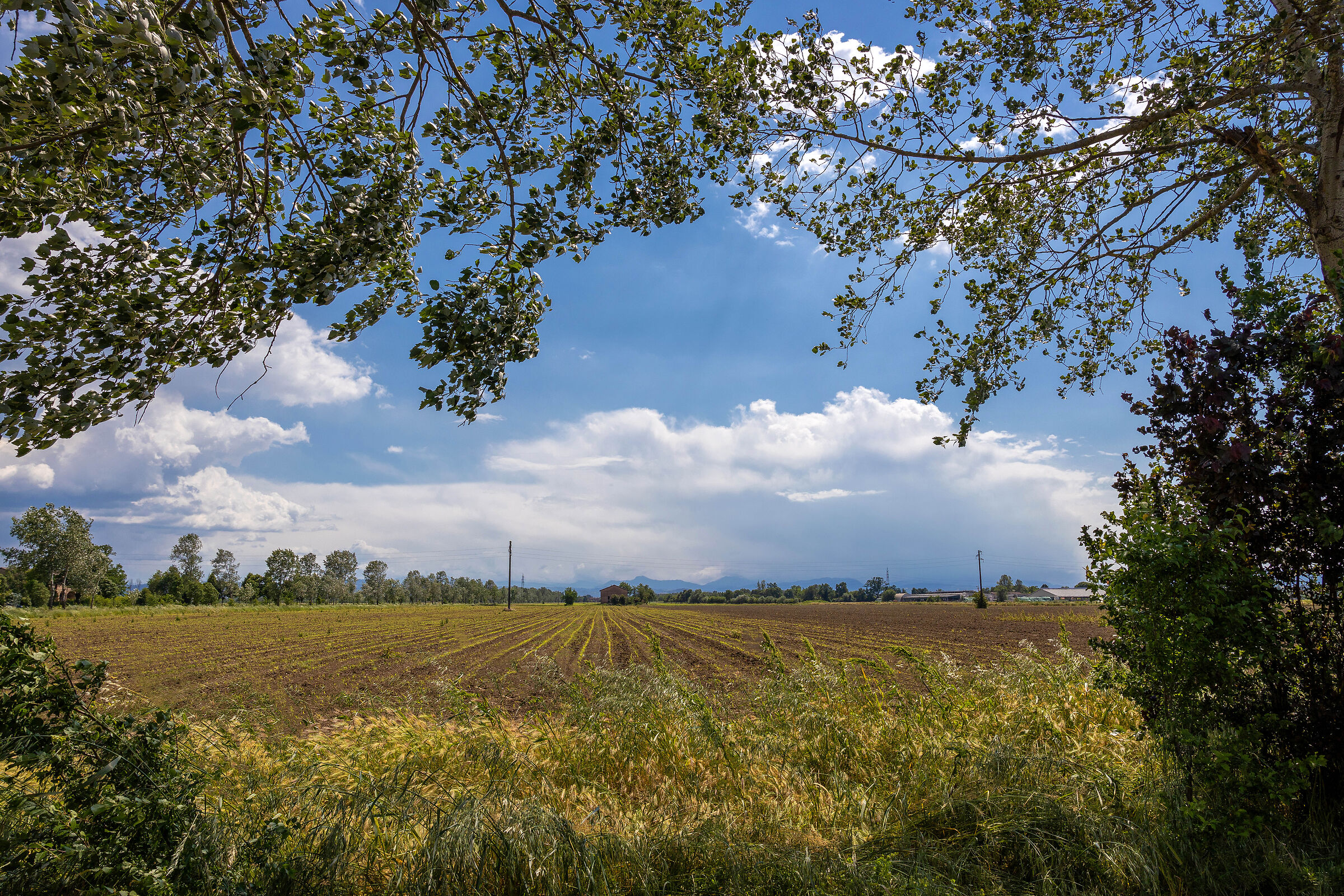 I paesaggi della Val d'Enza