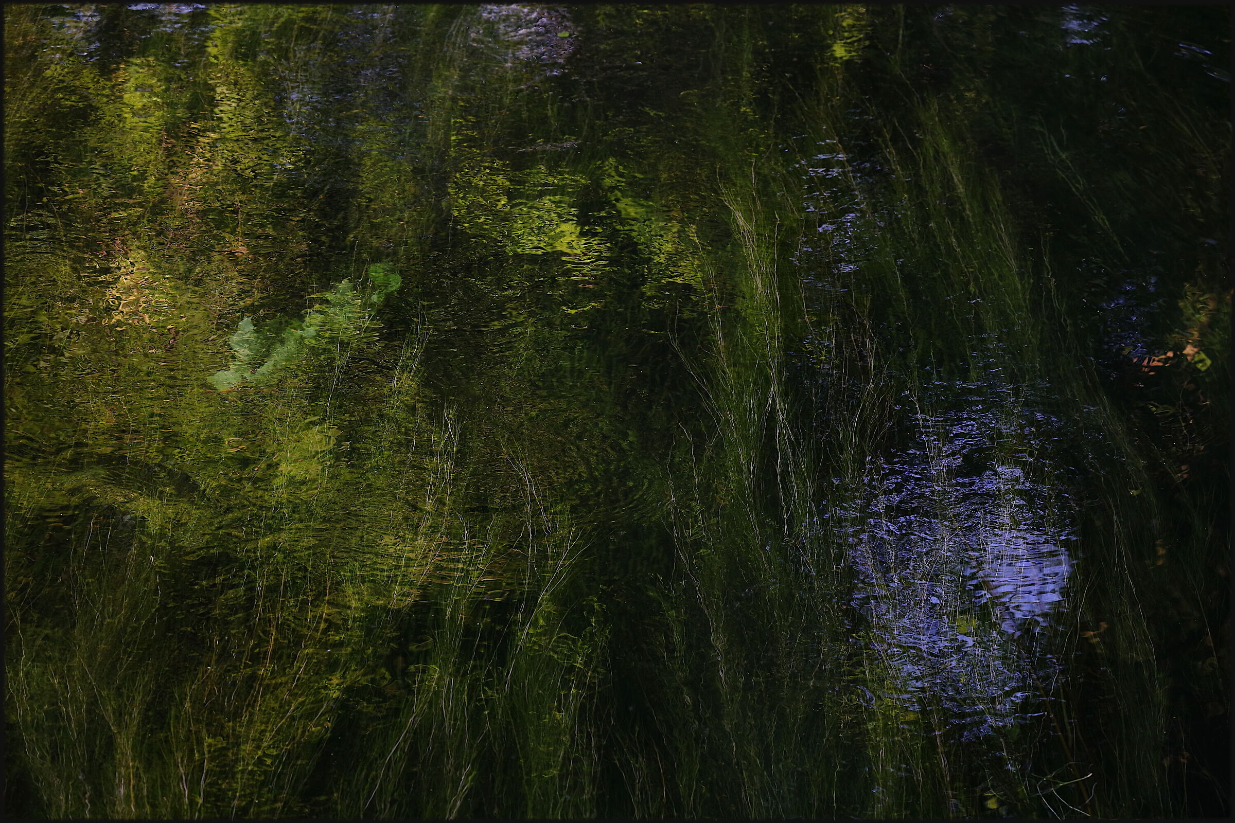 Impressionism in the Moat
