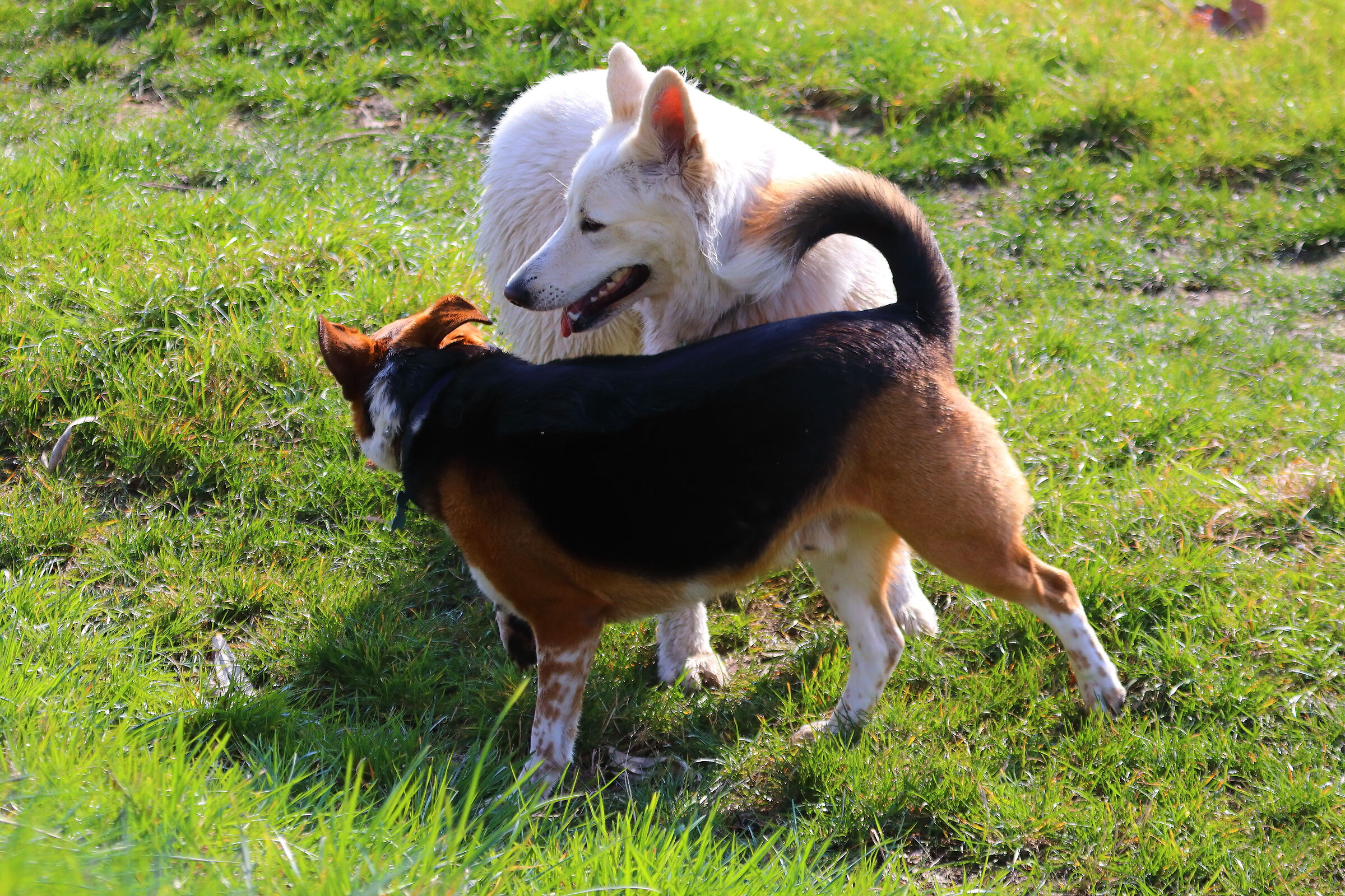 In coppia 02 marzo 2025 - 0040