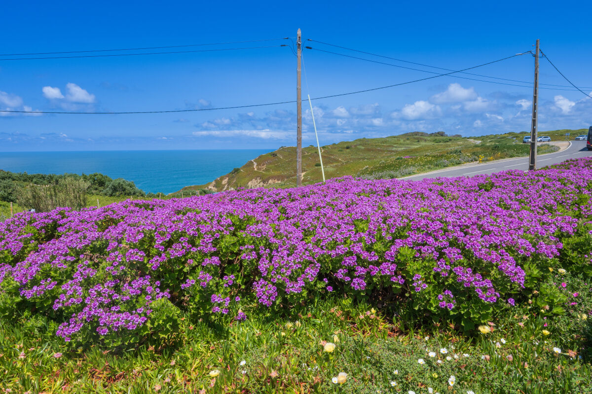 Capo De Roca