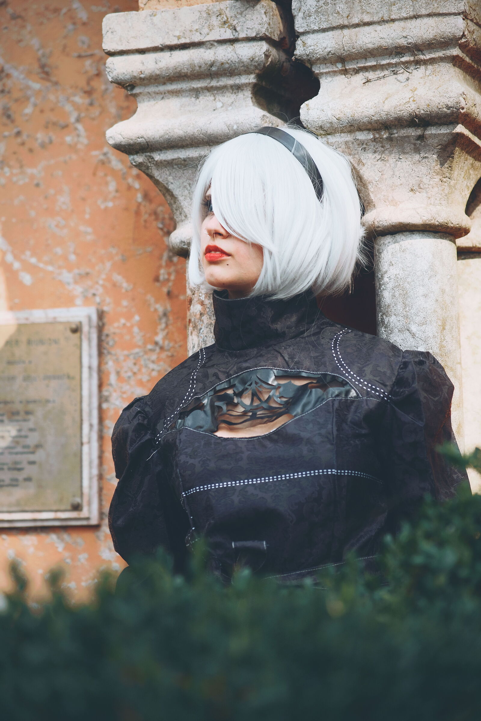 Untitled Photo